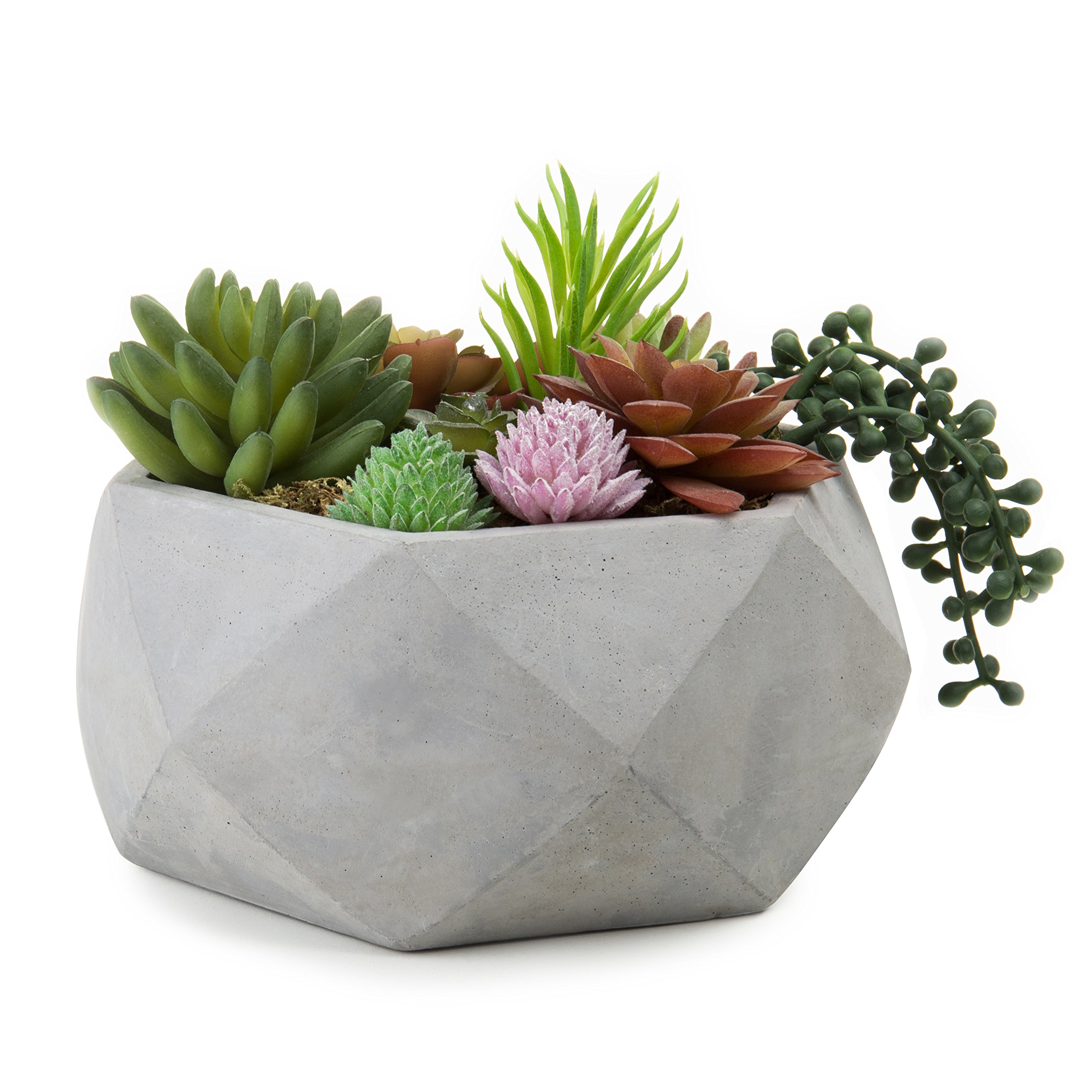 Cement Flower Pot | Home and Garden