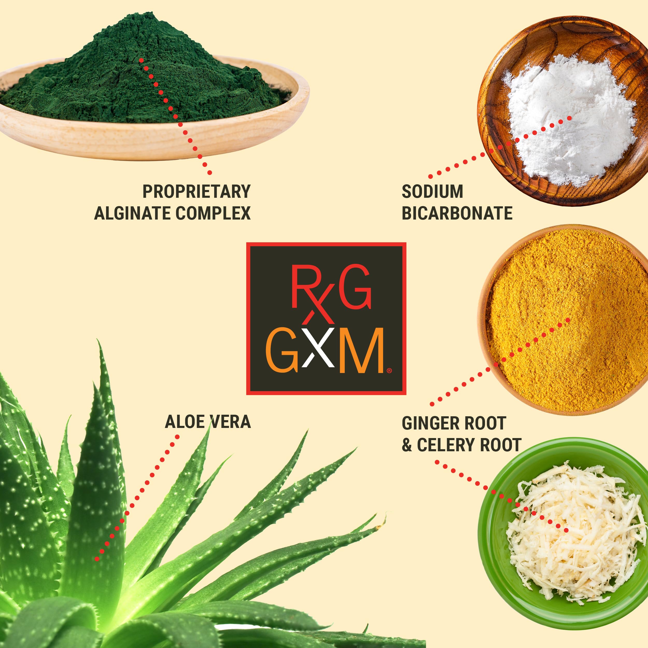 Reflux Gourmet Tropical Soothe Gum Alginate Therapy Sodium Bicarbonate Gum for Acid Reflux, Oral, Cognitive, and Digestive Support, Natural with Ginger, Celeriac, Aloe, Sugar Free, Gluten Free, Vegan — Amazon image 7