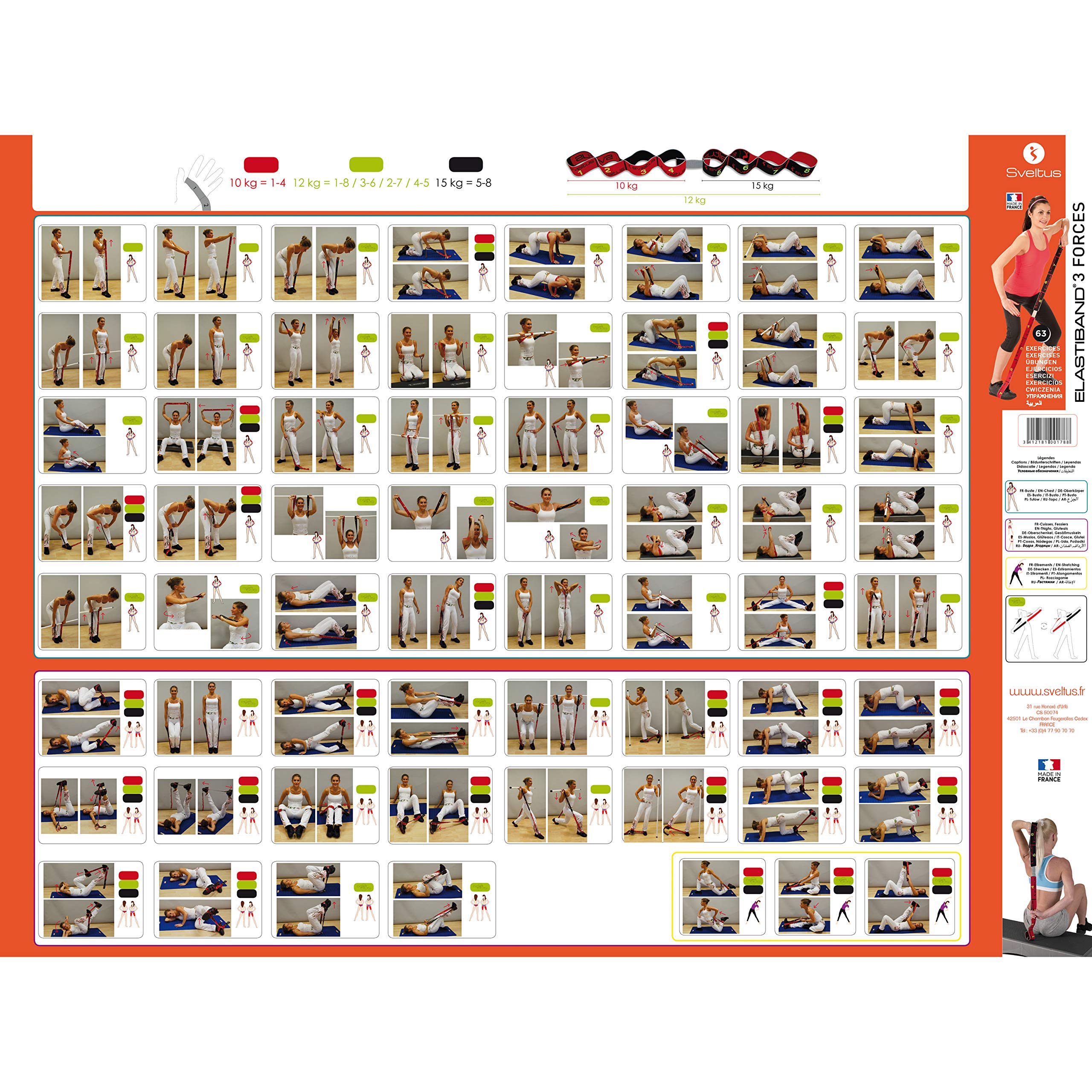 sveltus Poster d’exercices elastiband