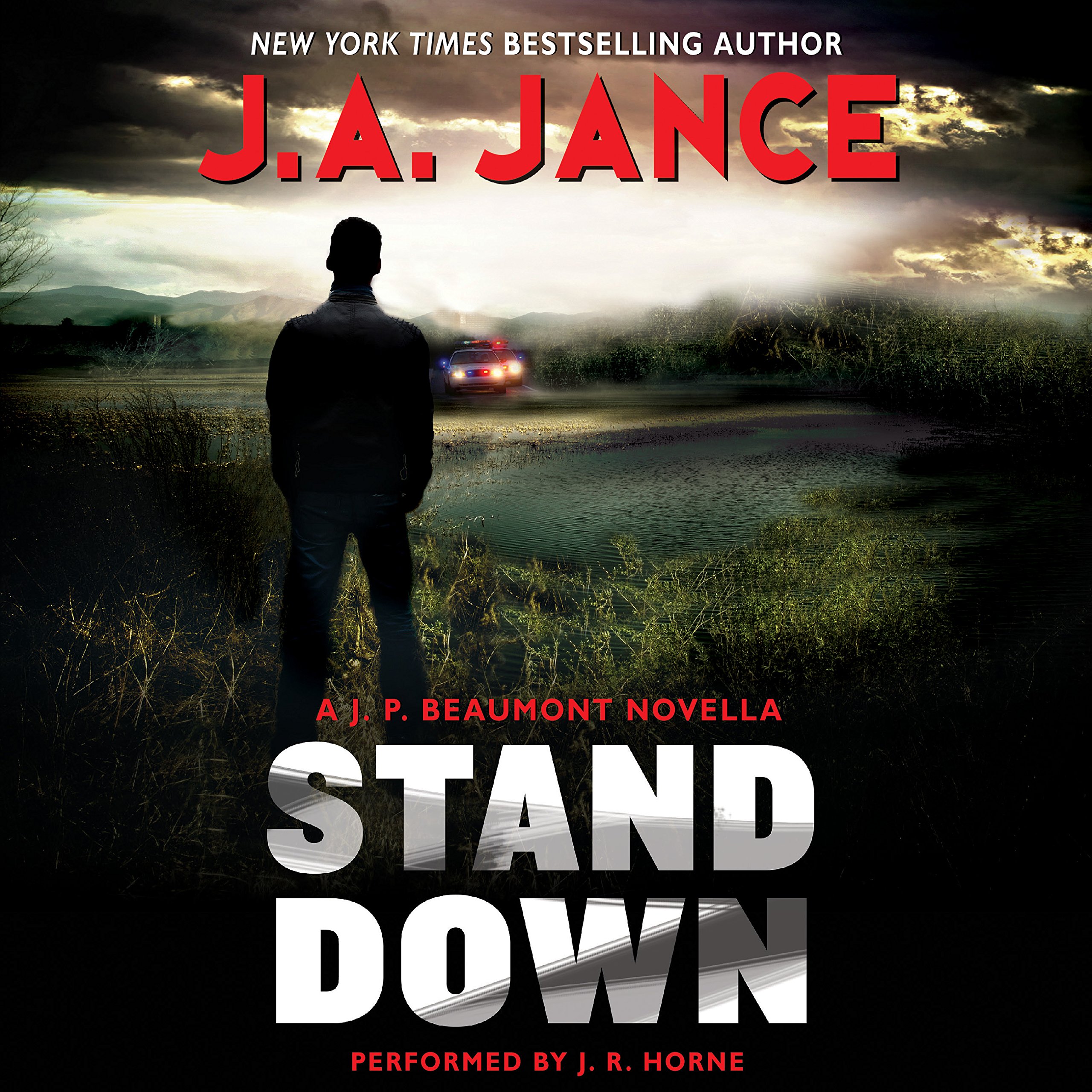 Cover art for Stand Down