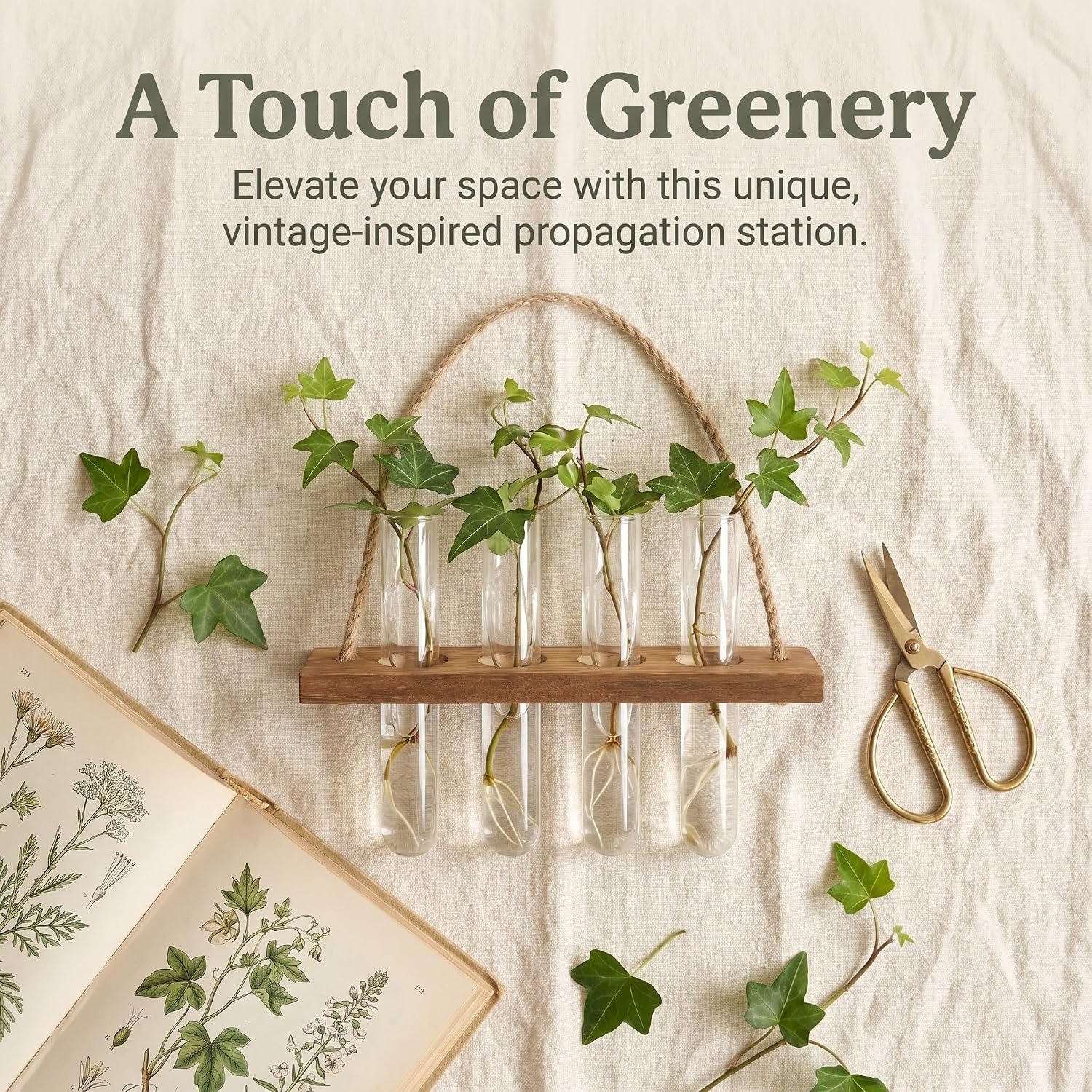 Hydroponic Vase Stand Wood Test Tube Rack for Plant Display image 3