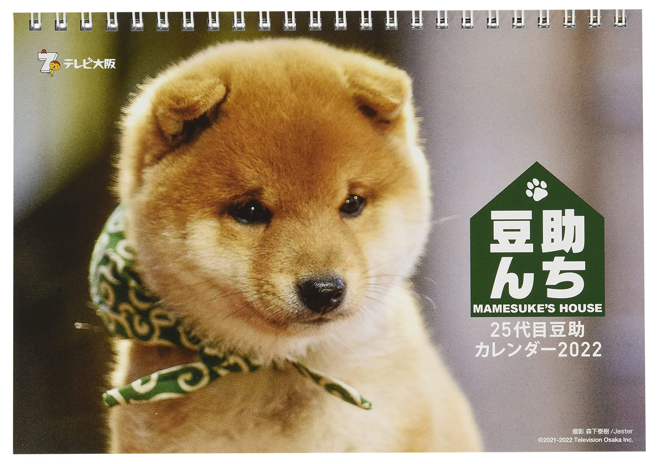 Amazon.co.jp: ハゴロモ 卓上 【豆助んち】25代目豆助カレンダー2022