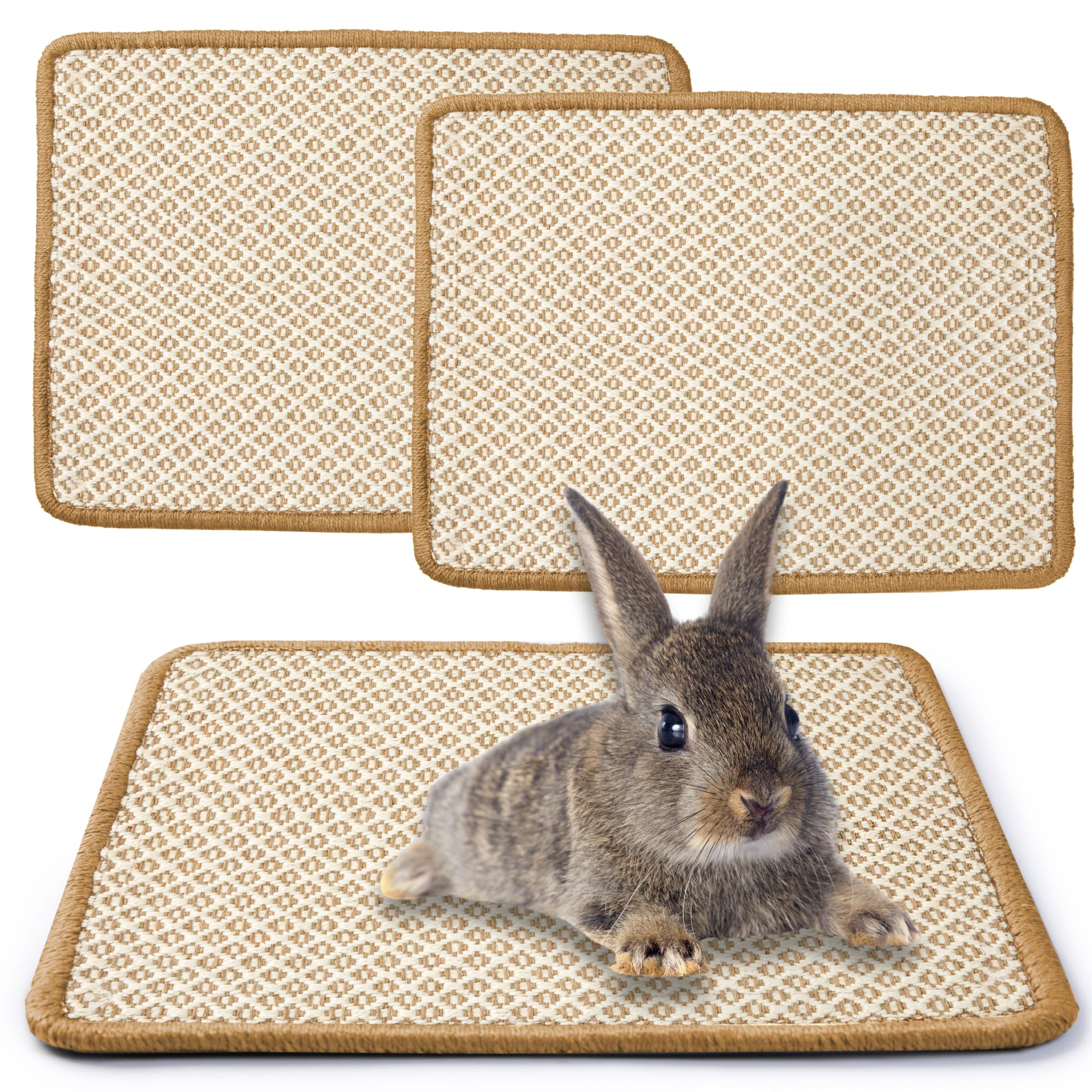 Grattoir en sisal JanYoo lot de 2 pour le soin des dents des rongeurs