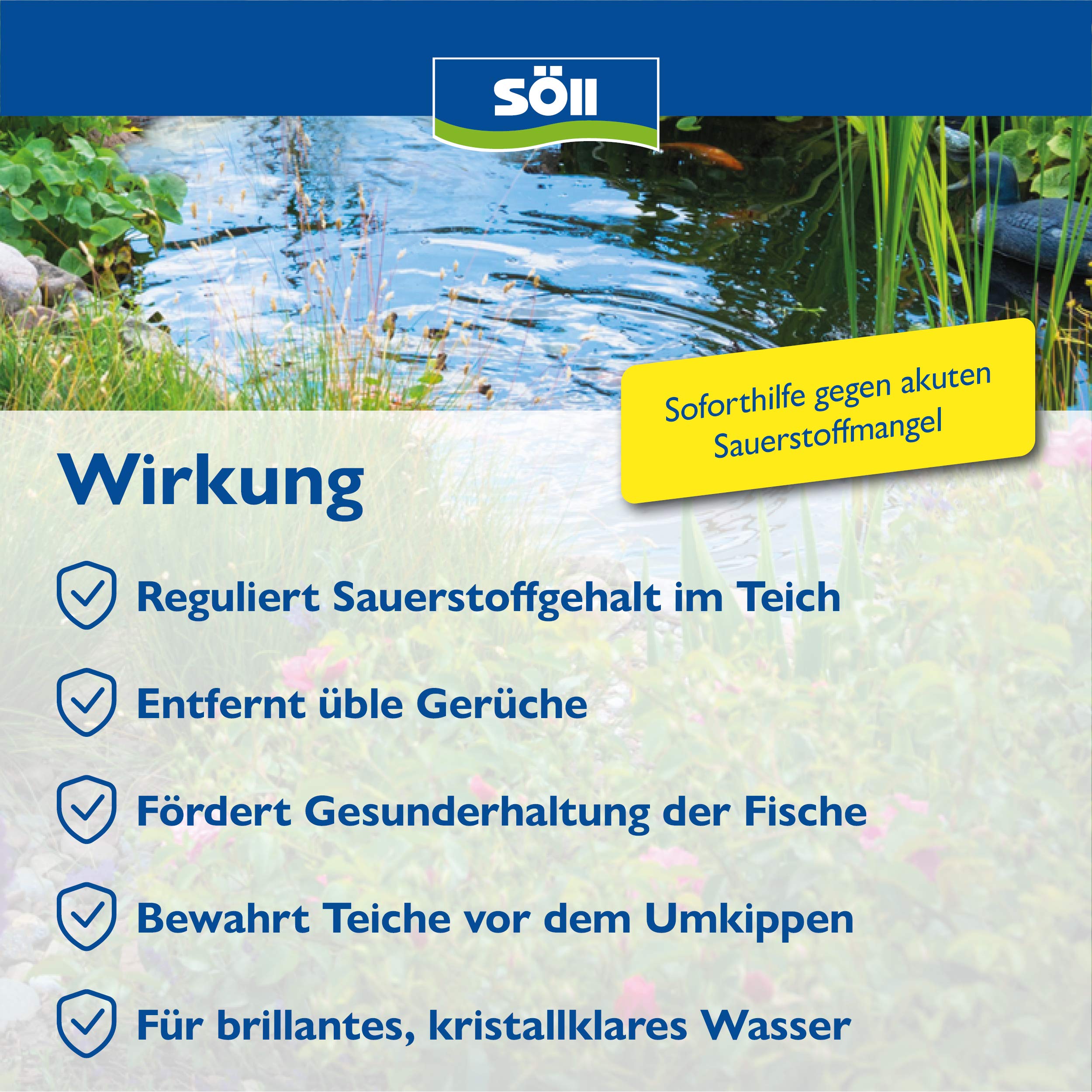 Söll SauerstoffAktiv 1 kg Teichpflegemittel gegen Sauerstoffmangel und Gerüche