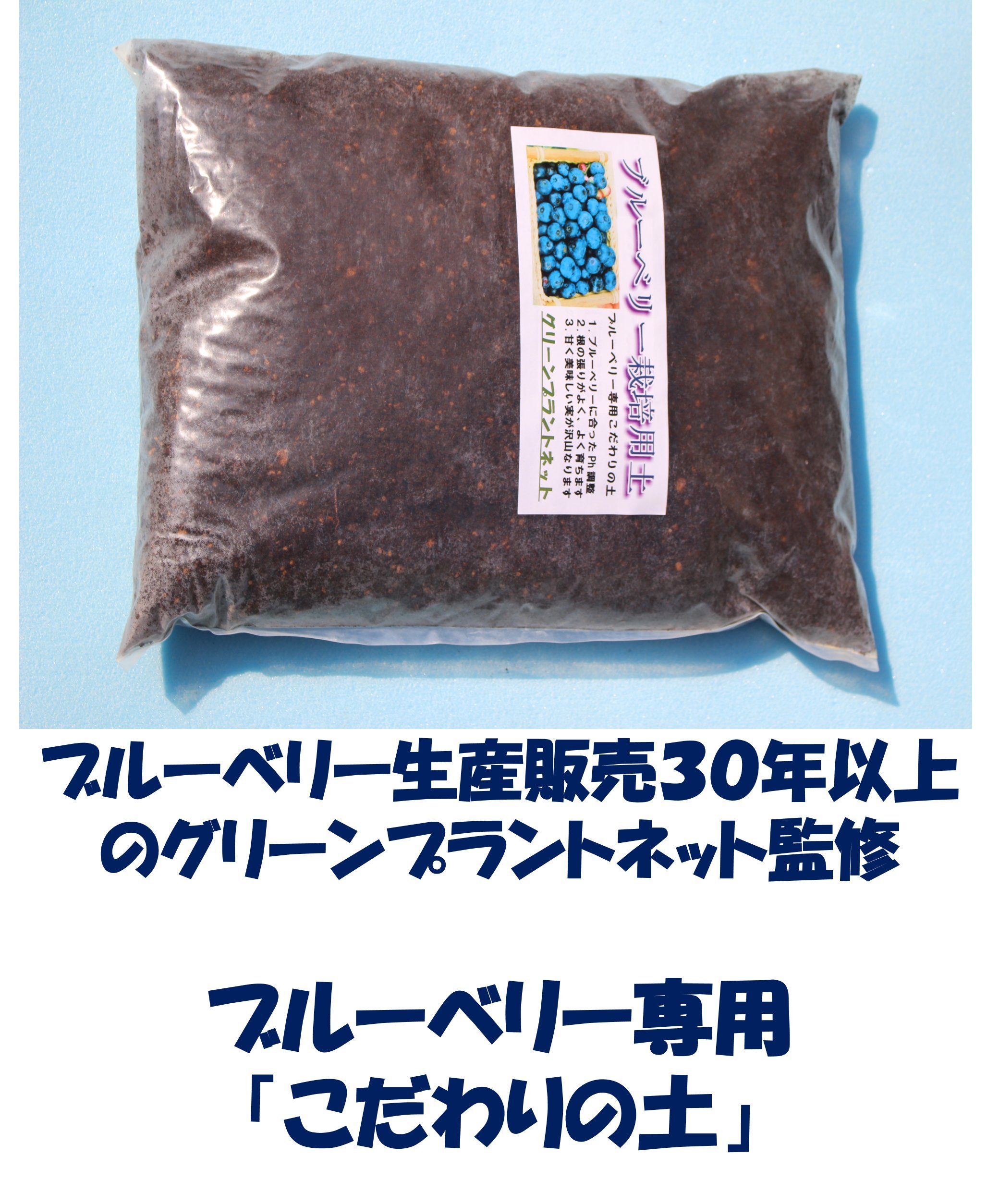 Amazon.co.jp: [初心者]プロにお任せブルーベリー苗木栽培6点セット 