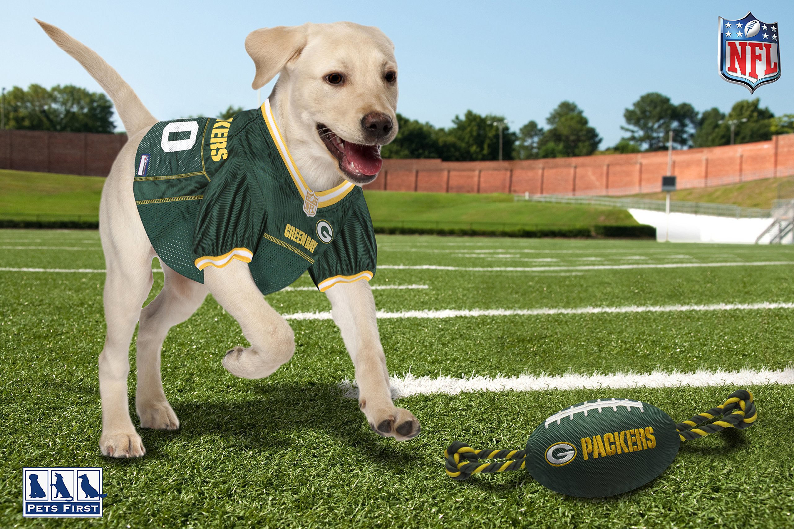 NFL Green Bay Packers Haustier-Geschenkbox mit 2 lizenzierten Hundespielzeugen, 1 natürliches Hundeleckerli mit Logo, 1 NFL-Trikot, 1 NFL Welpen-Trainingsglocken und 1 Auto-Sicherheitsgurt