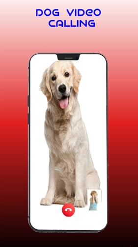 Dog Call