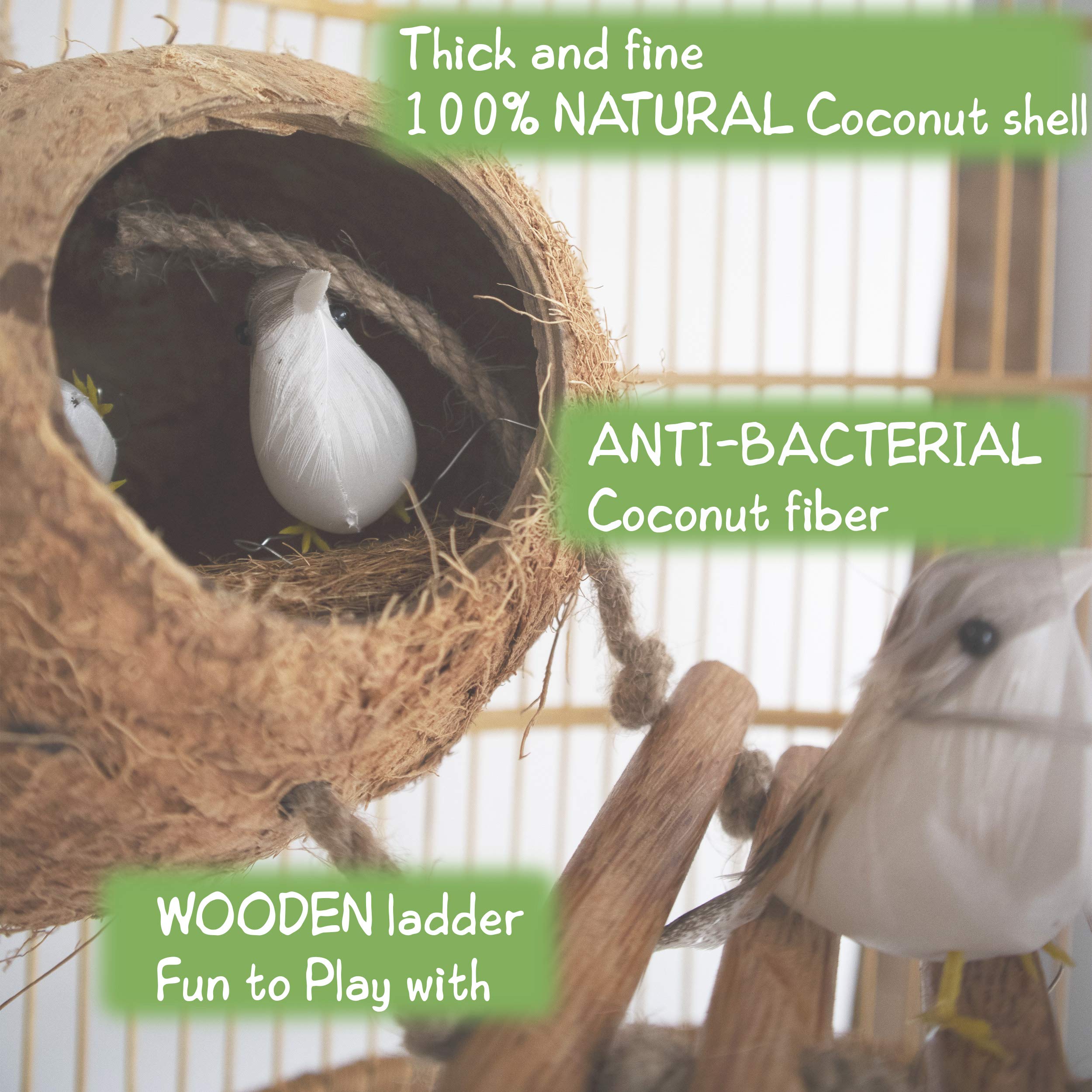 Buy Coconut Hanging Bird Nest House Cage Toys Budgie Bed Natural