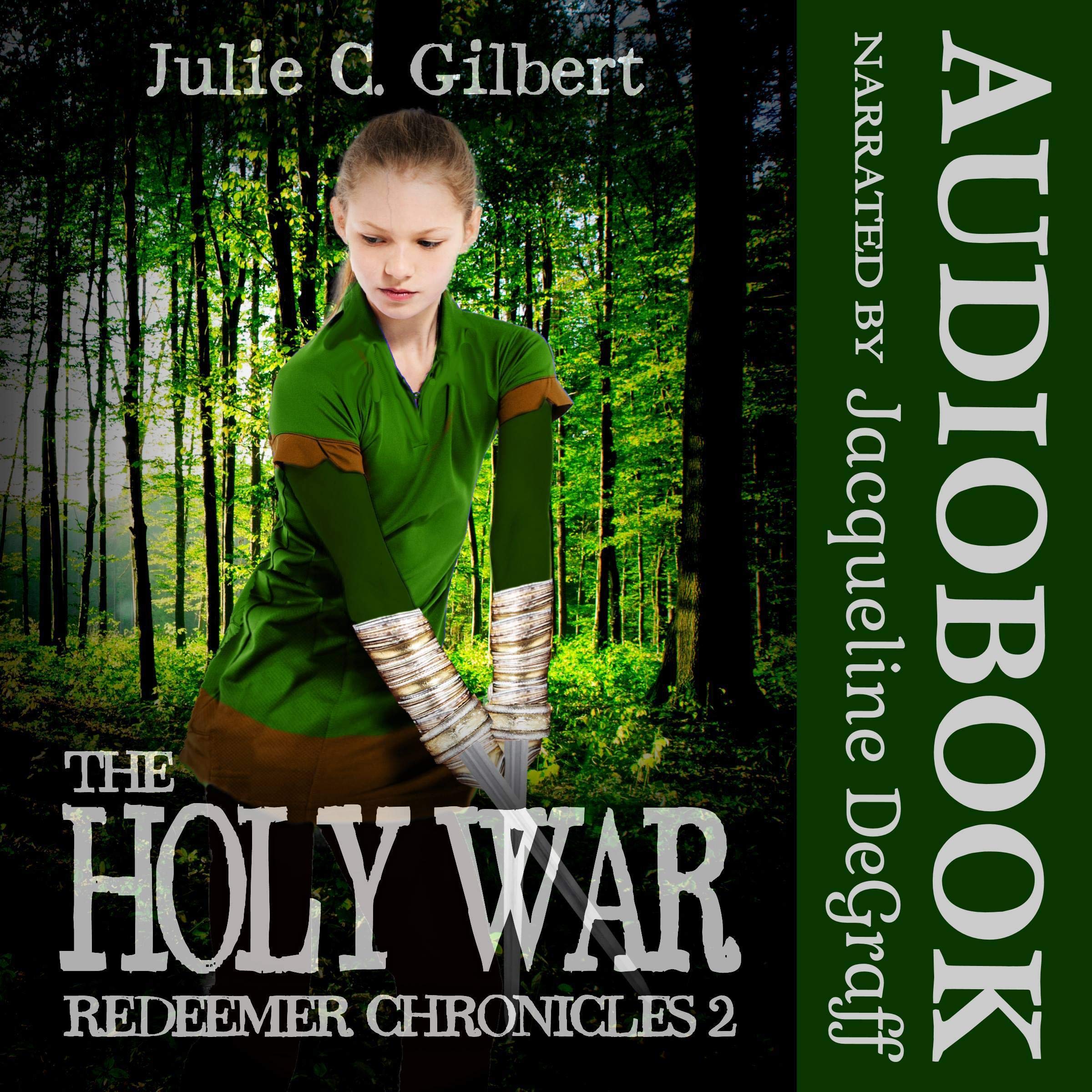 Cover art for The Holy War
