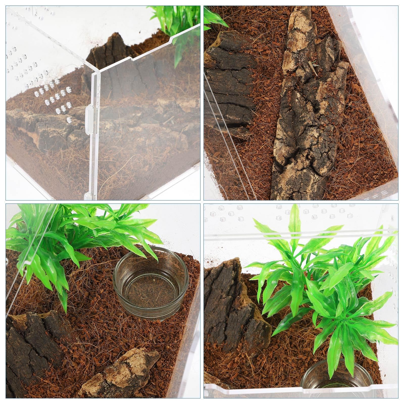Terrario Acrilico Trasparente per Rettili e Aracnidi Ventilazione, Vasca da 25x15x15 Cm per Lucertole, Ragni, Scorpioni e Piccoli Animali Esotici