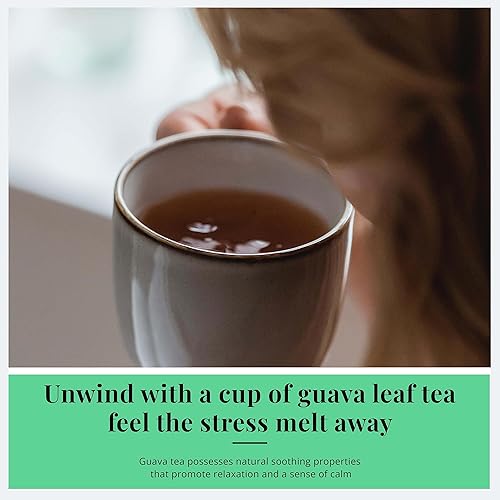 Miniatura 8 de Akshit Té de guayaba orgánico, 75 bolsas de té de hoja de guayaba, té de hierbas de guayaba, te de guayaba, sin azúcar, sin cafeína, sin gluten,