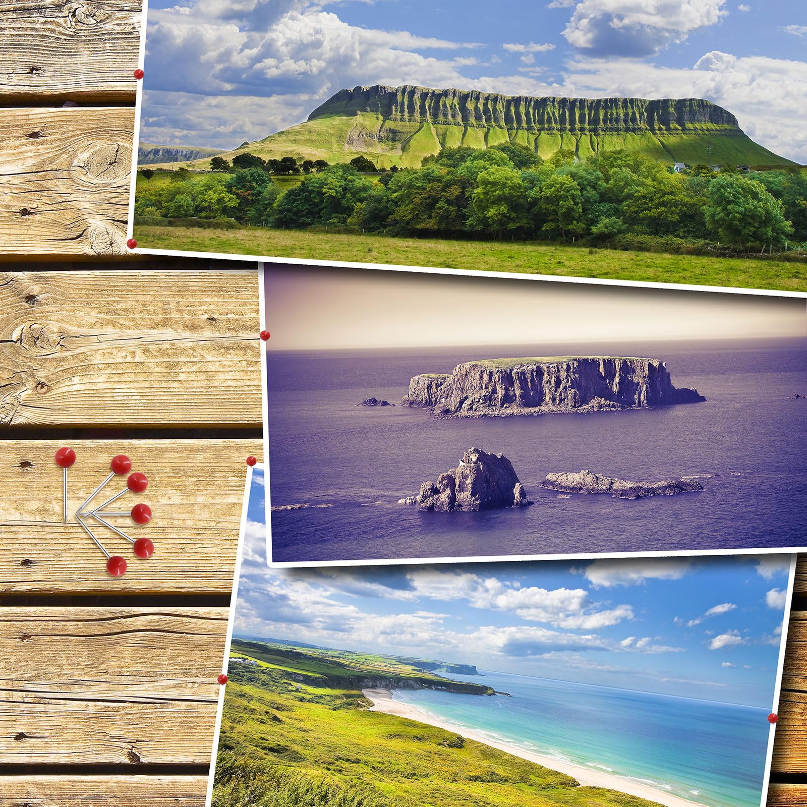 300 Pièces Punaises Tableau Liège, Épingles Et Punaises, Punaise Urale