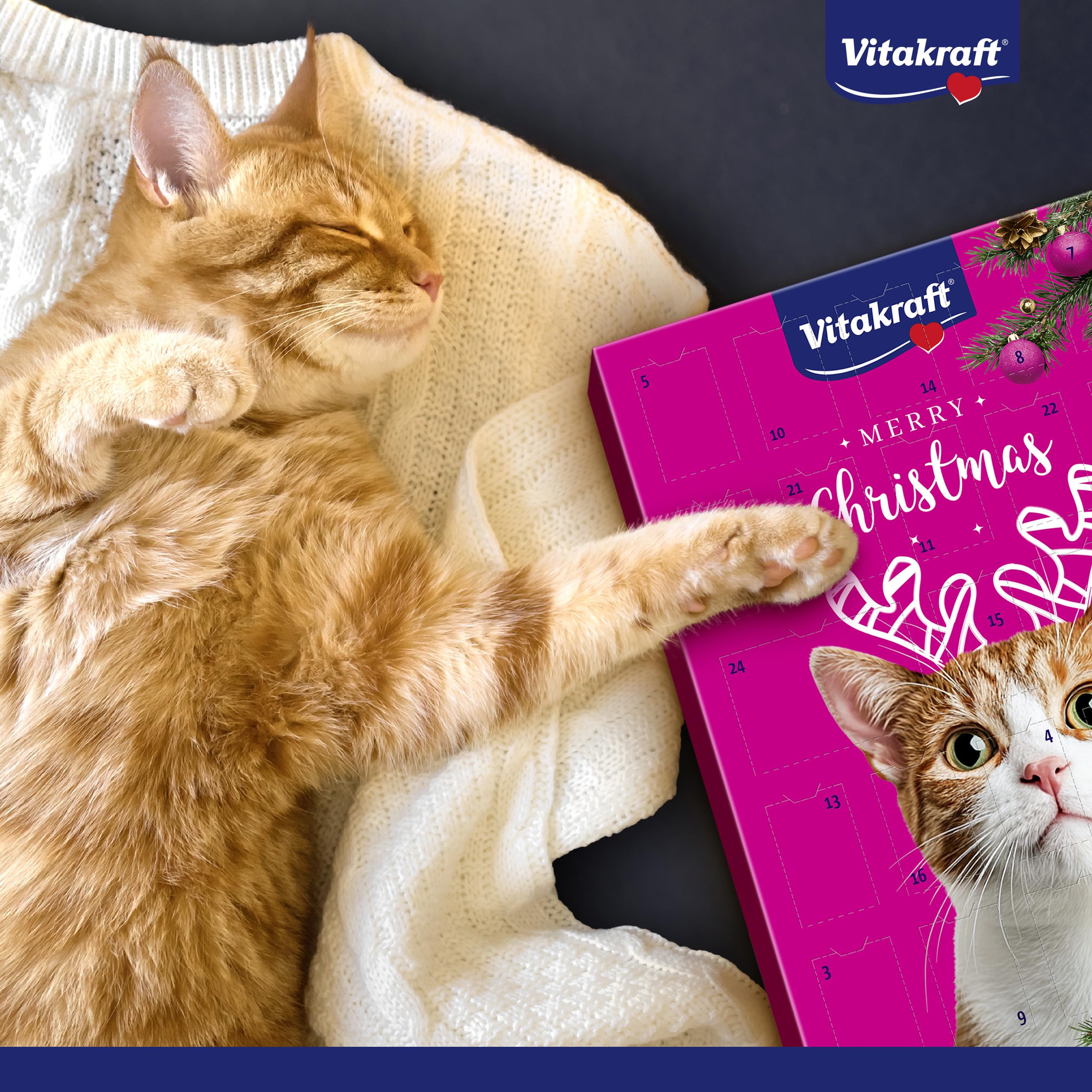 Vitakraft Calendario dell’avvento gatto, per Natale 2025, deliziosi snack selezionati con cura, per il periodo dell’avvento, snack per gatti di tutte le età (1x 363g)