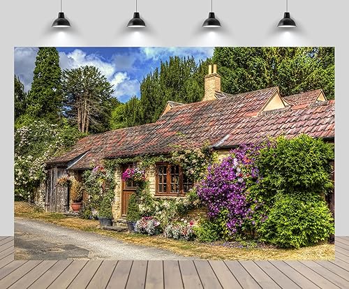 7ftx5ft Vintage British Village Backdrop Retro Brick Stone House Old