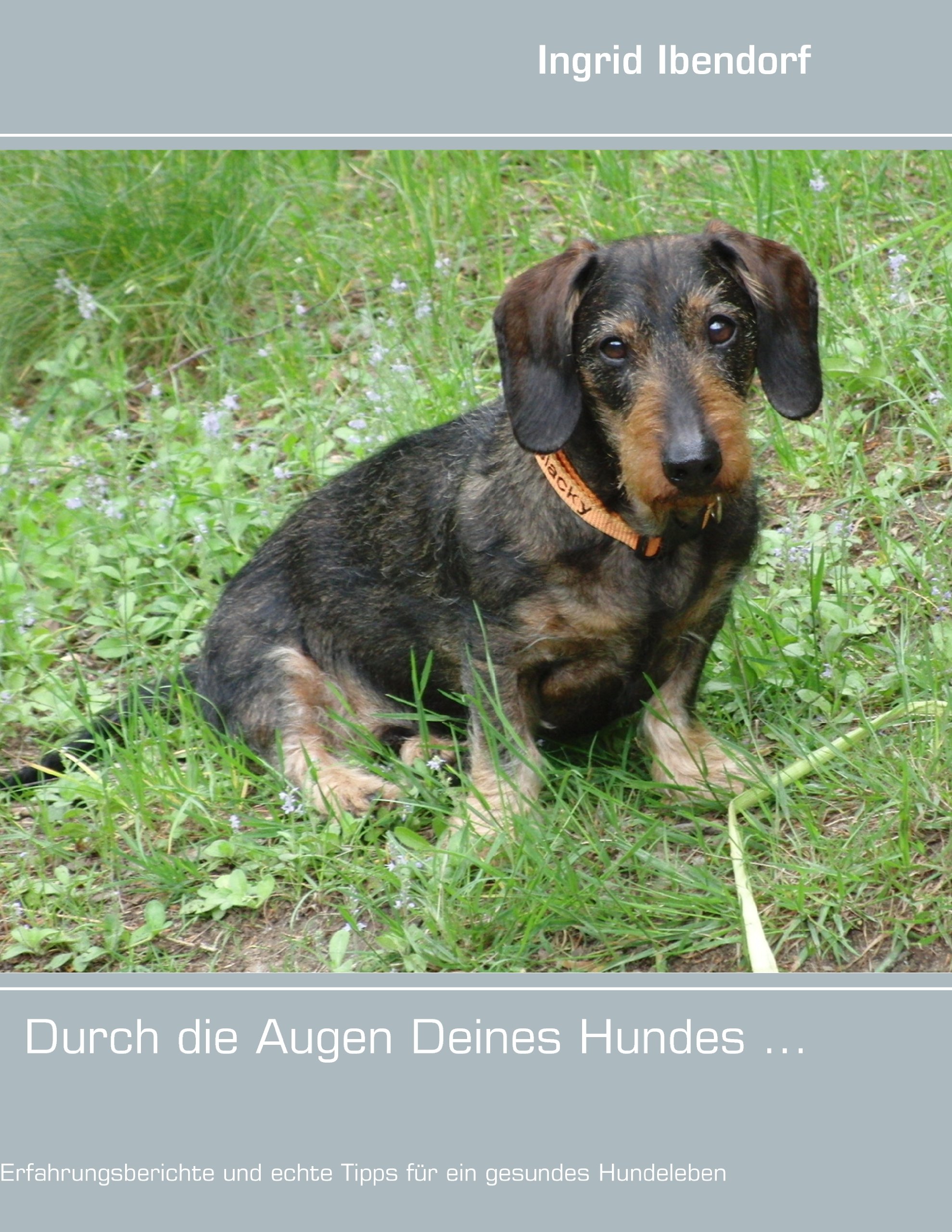 Durch die Augen Deines Hundes ...