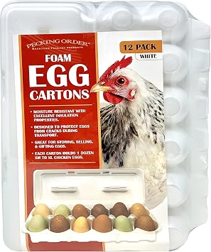 Foam Egg Cartons - White (12-Pack)