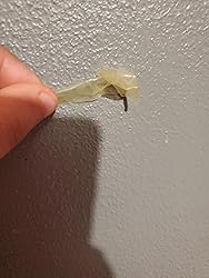 Customer Image, click to open customer review