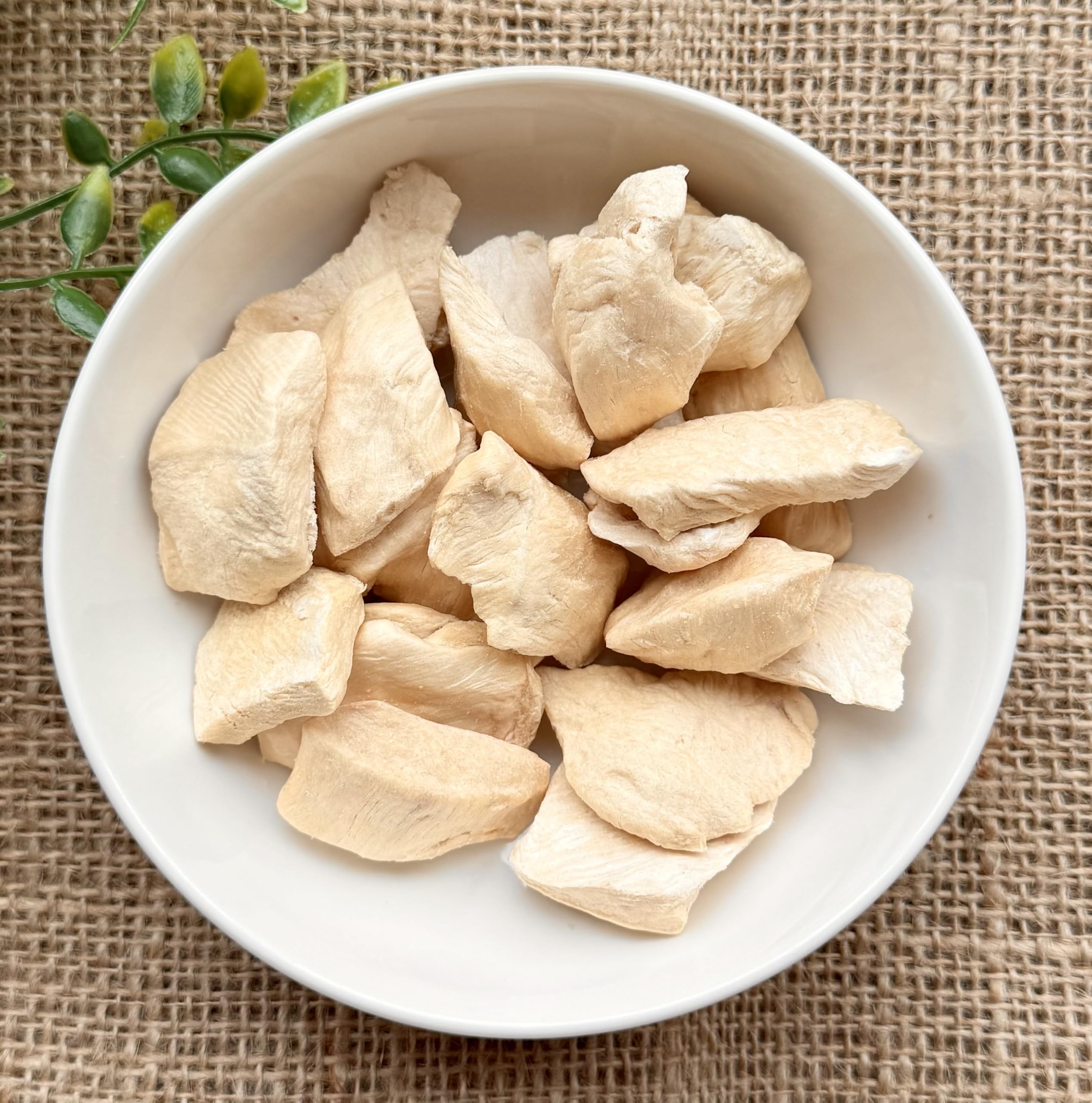 Amazon.co.jp: フリーズドライむね肉 150g 獣医推薦 FOUR-FOODS 国産