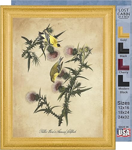 Vista 229 de Towee Bunting by James Audubon - Marco biselado negro de 12 x 16 pulgadas, decoración artística enmarcada para pared, reproducción de pinturas