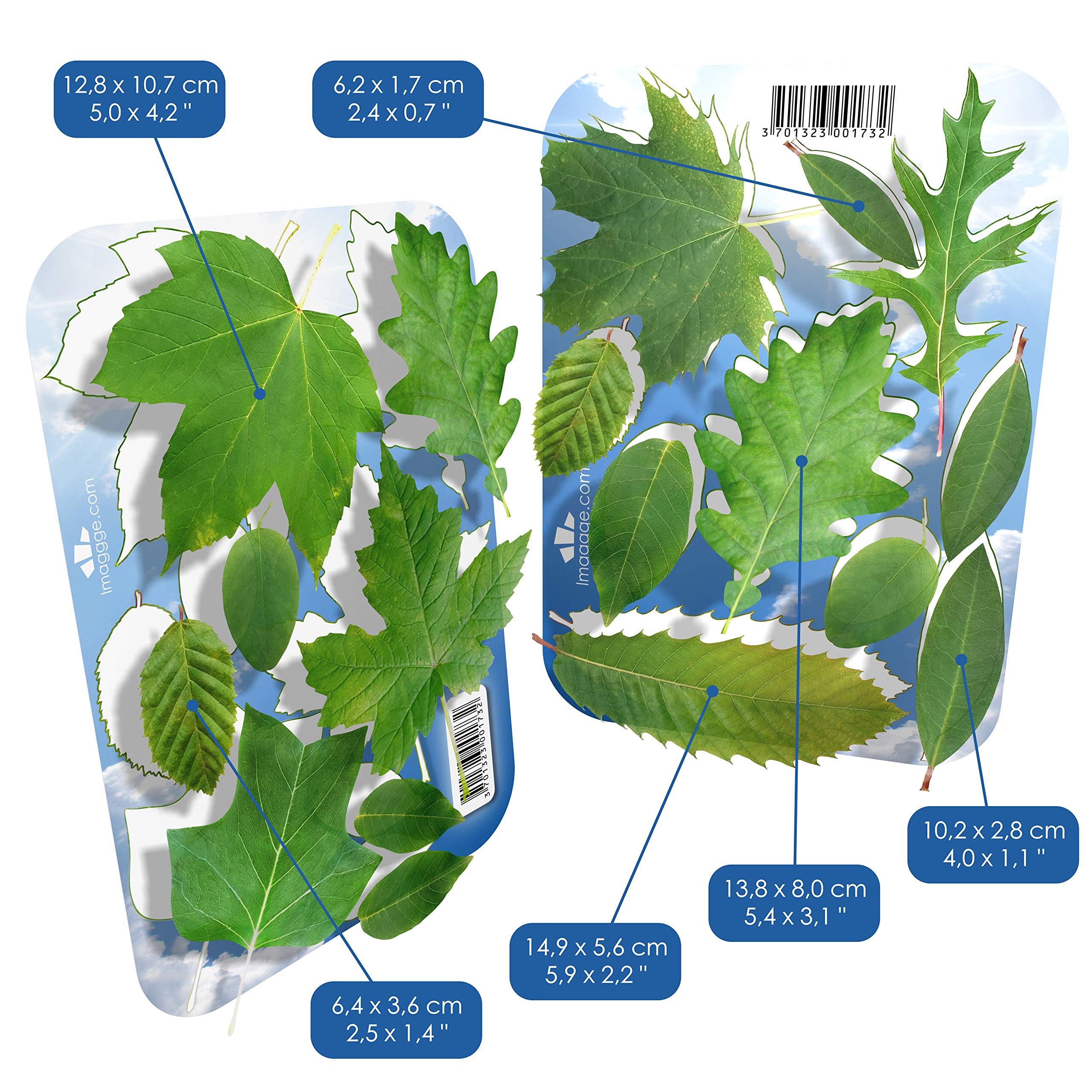 Set di 18 Adesivi a Forma di Foglie di Albero per Ogni Superficie, Decorati su pareti, prevenendo Colpi di Bambini e Uccelli sulla Finestra - Traslucidi - 3X