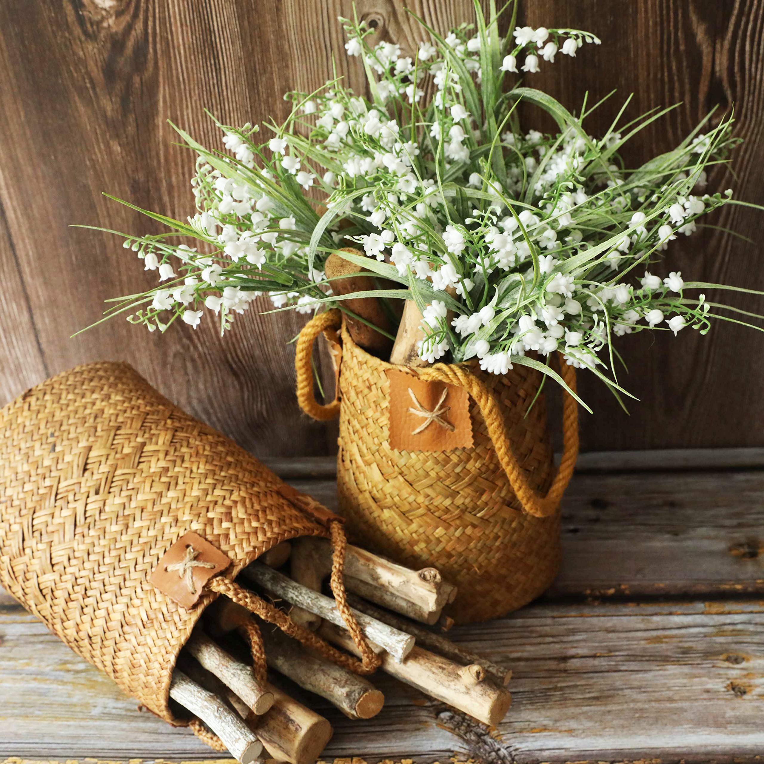 Amazon｜cn-Knight ベルフラワー 24個 14インチ カンタベリー ベル