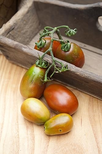 Miniatura 2 de Tsungshigo - Paquete de semillas de tomate tradicional de ciruela china + más