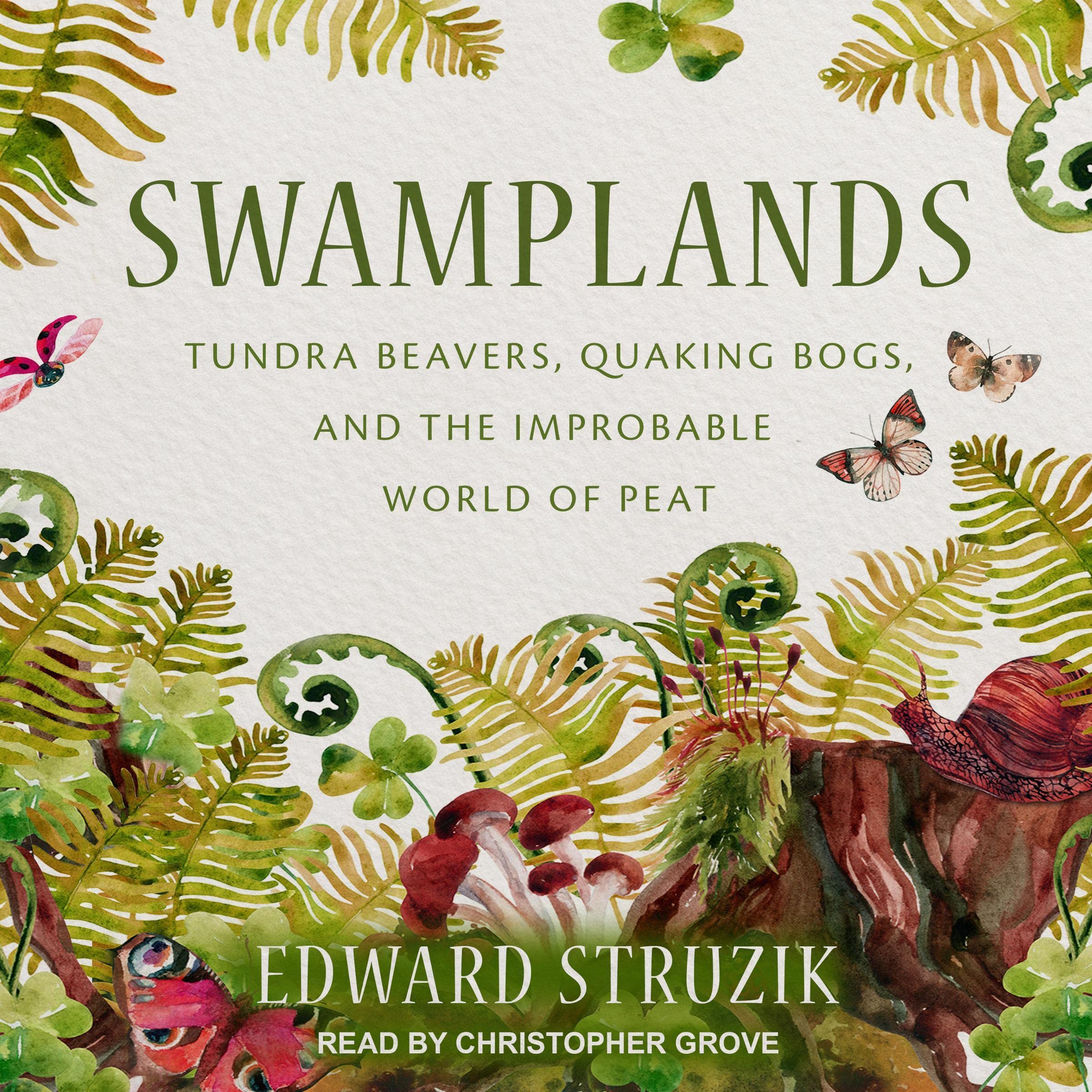 Cover art for Swamplands