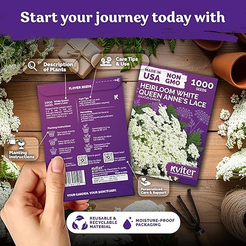 Miniatura 2 de KVITER 1000 semillas de encaje de White Queen Anne's (Daucus Carota)  Semillas de zanahoria silvestre de reliquia no transgénica, semillas de flores