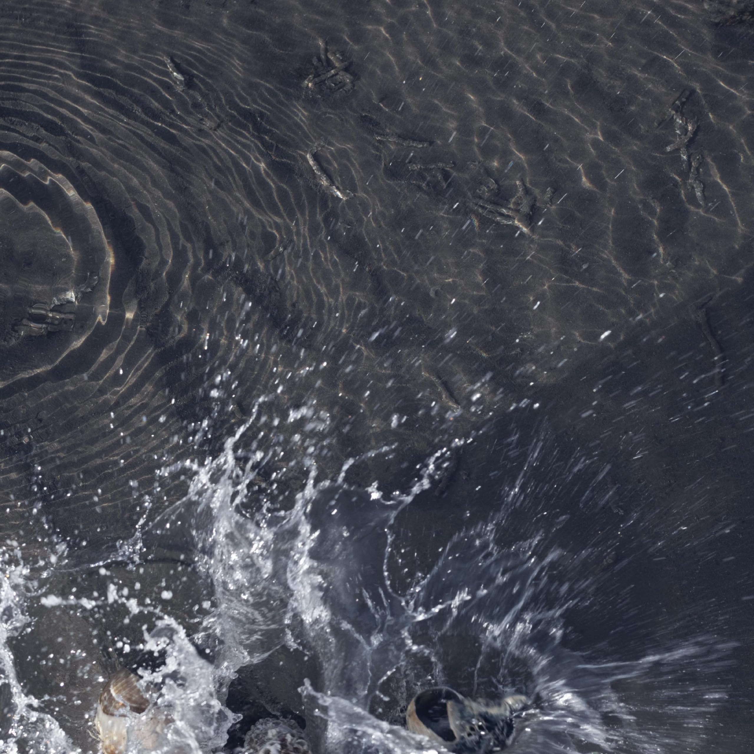 of all living things