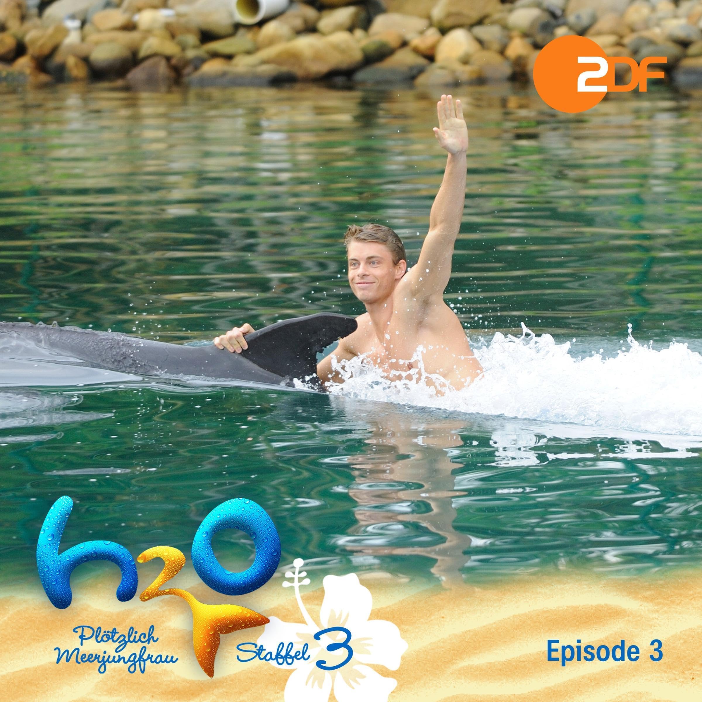 Traumjob oder Albtraum? Das Original-Hörspiel zur TV-Serie