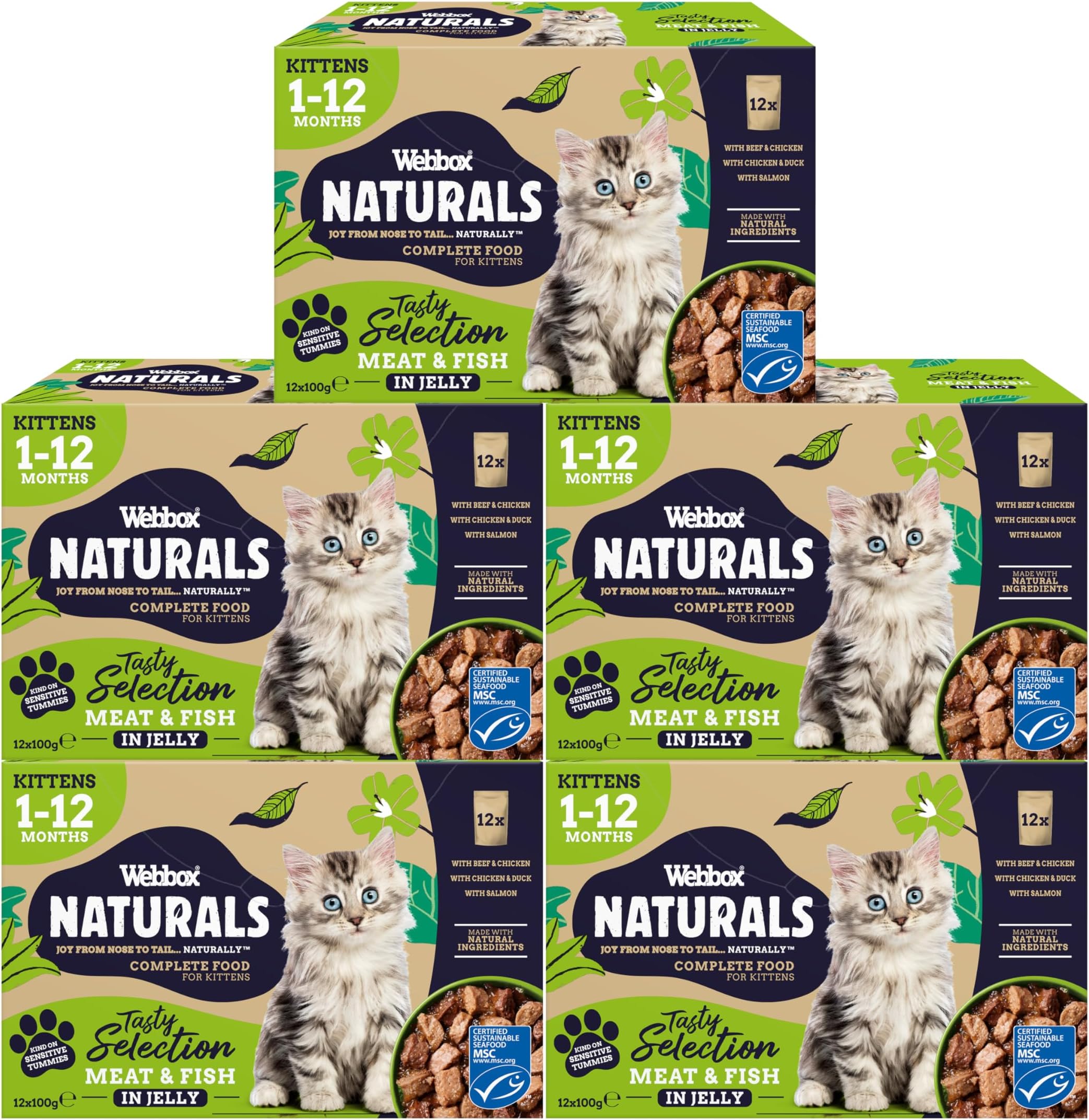 Webbox Naturals Complete Kitten (1-12 Months) Wet Cat Food, 60 x Meat & Fish in Jelly Variety Pack - Made with Natural Ingredients and No Nasties (60 x 100g Pouches)