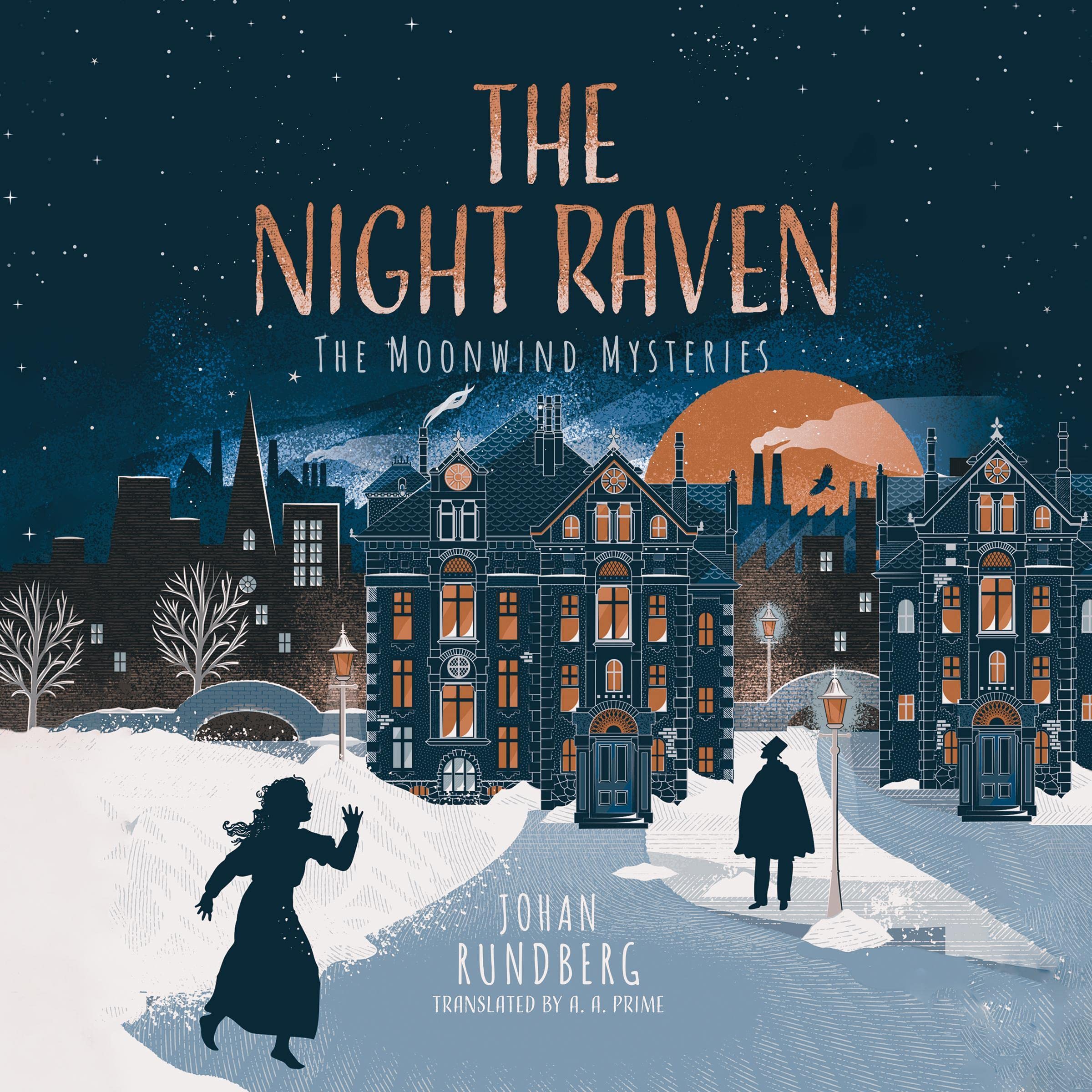 Cover art for The Night Raven