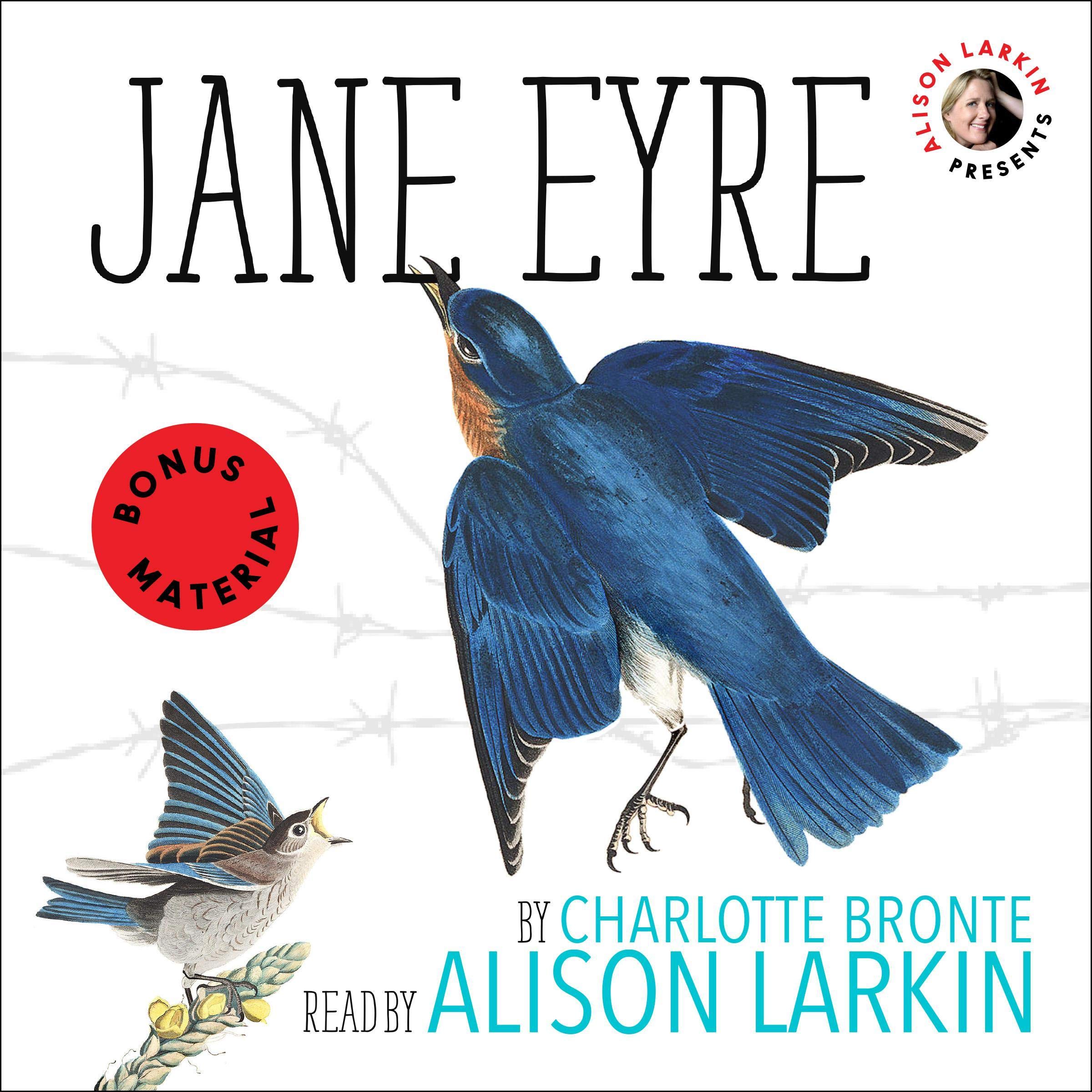 Cover art for Alison Larkin Presents: Jane Eyre
