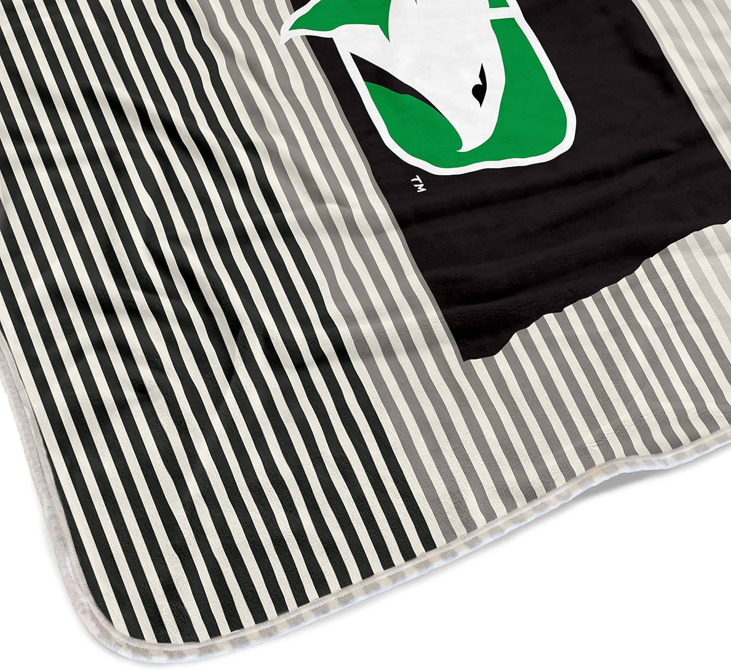 Pegasus Sports Officially Licensed NCAA State Stripe Blanket, 60" x 70"