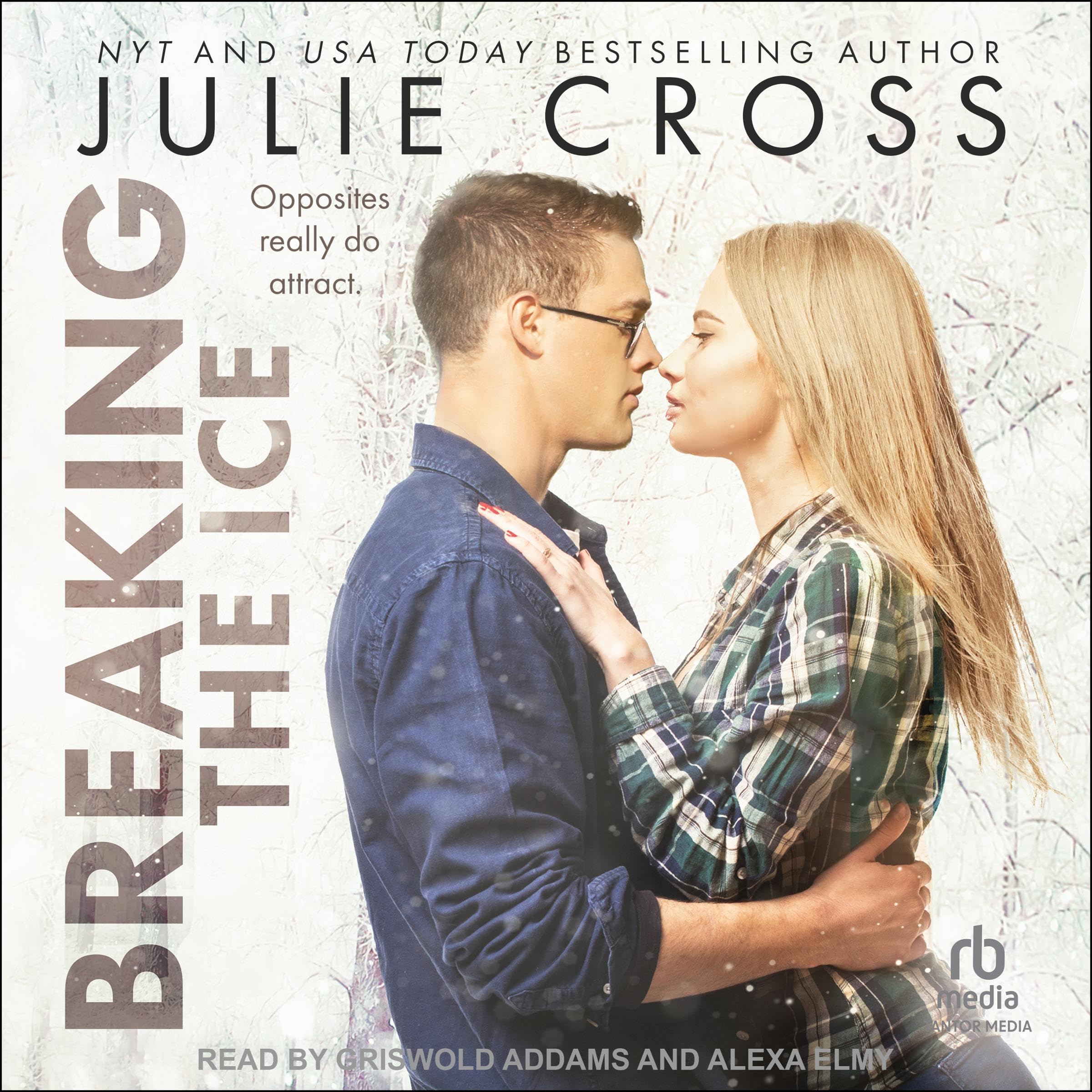 Cover art for Breaking the Ice