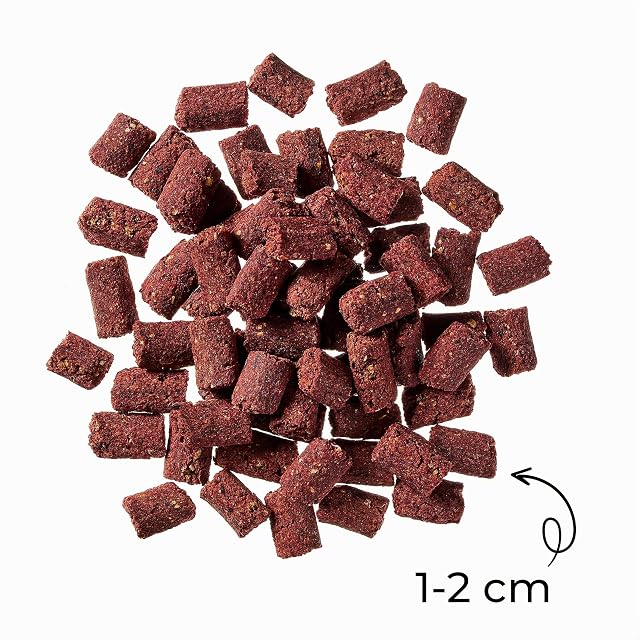 Foto 2 de 5 de Snack para Perros Globe Buddy Insect Crunch