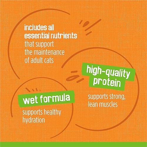 Miniatura 6 de Alimento húmedo para gatos Classic Pate de Purina Friskies, 5.5 onzas