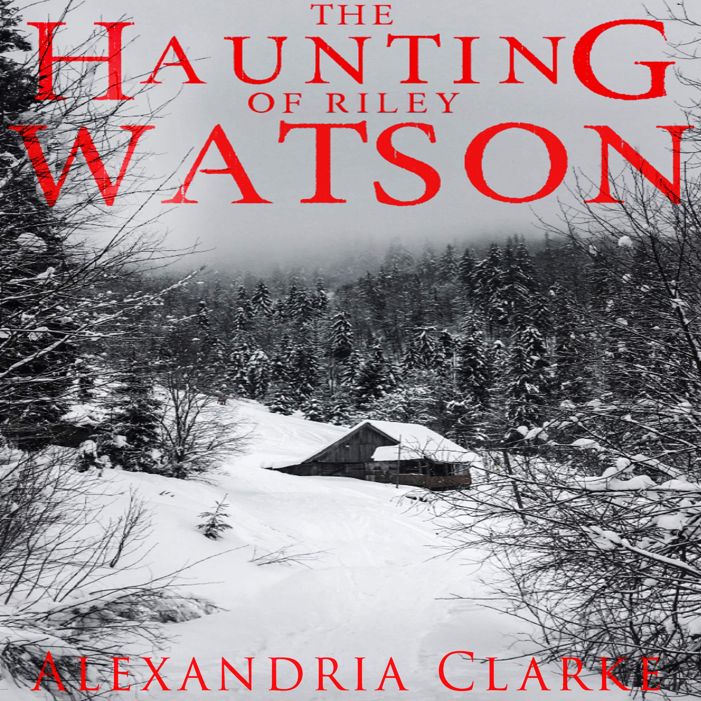 Cover art for The Haunting of Riley Watson: A Haunted House Mystery, Book 2