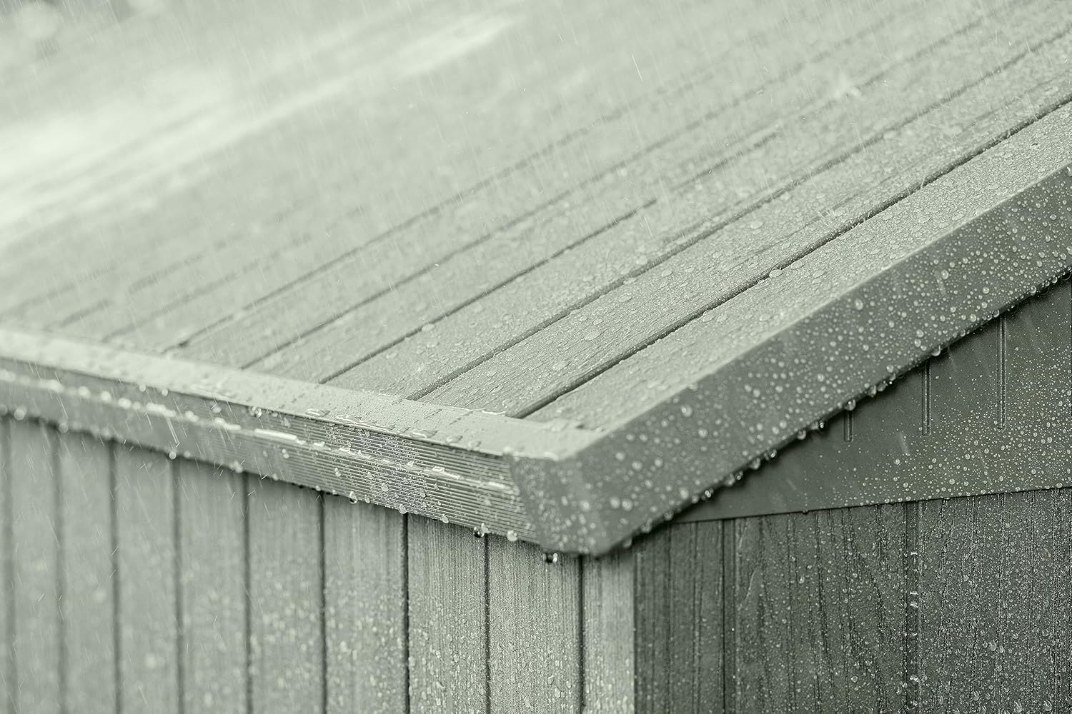 Interieur view of Keter Darwin shed with shelves