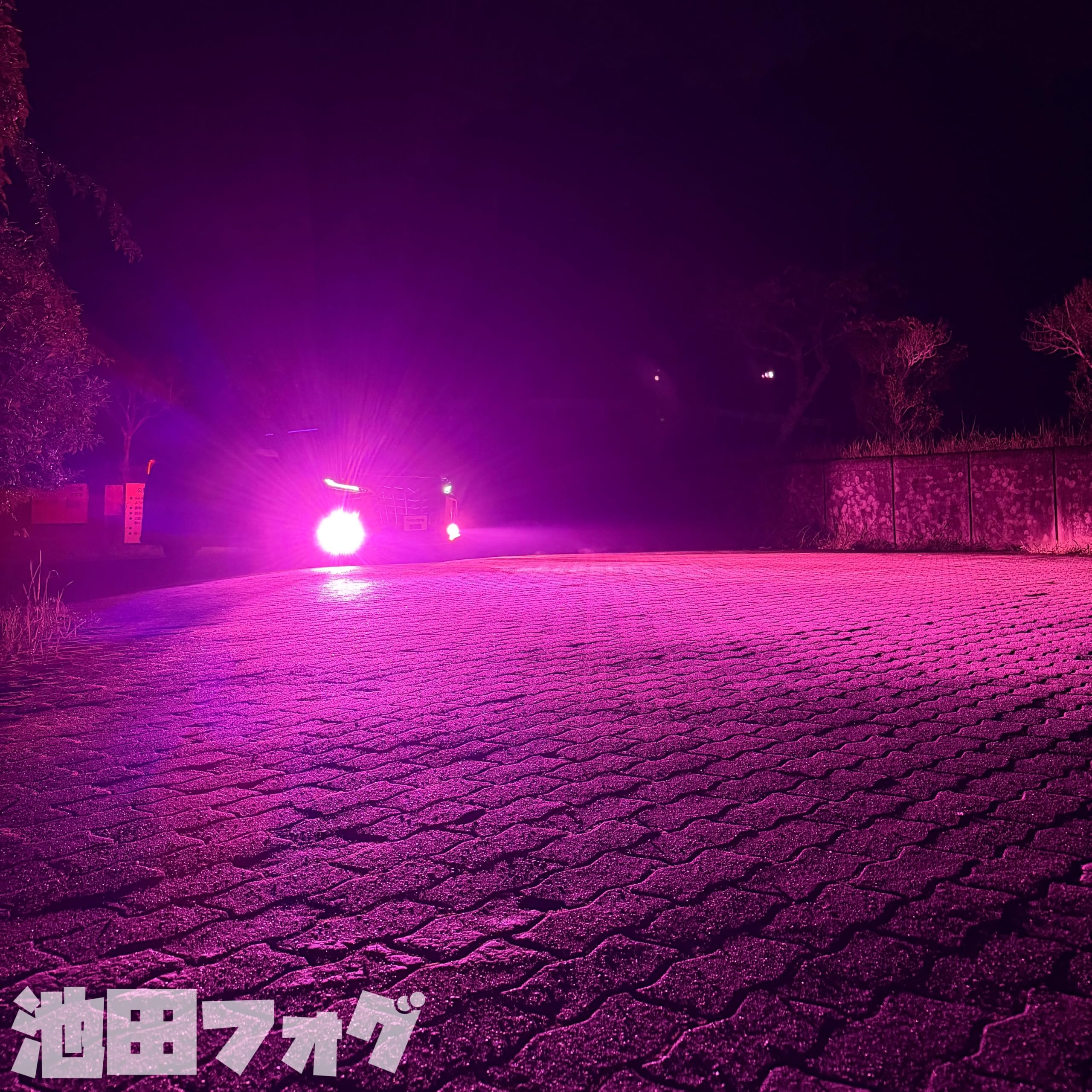 Amazon.co.jp: 爆光ピンクフォグランプ H8 H11 H16 HB4 PSX24W PSX26W