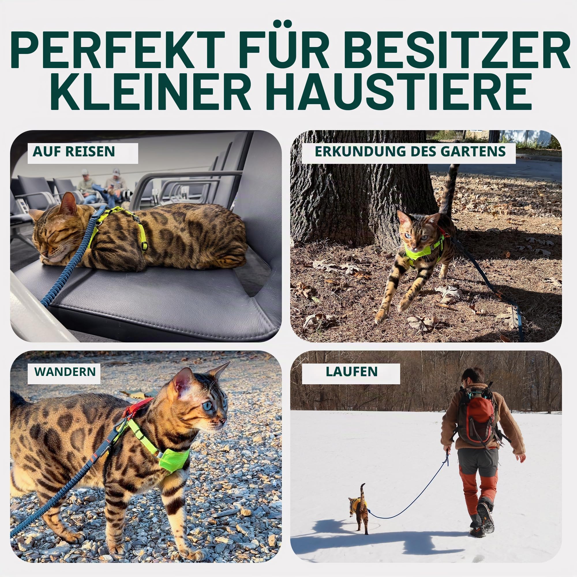 OutdoorBengal Kushma - Lange Leine für Katzen und kleine Hunde mit Bungee - Silikon + Nylon - kein Verheddern, freihändig für Taille und Körper, leicht - Extra Lange Katzenleine für kleine Hunde