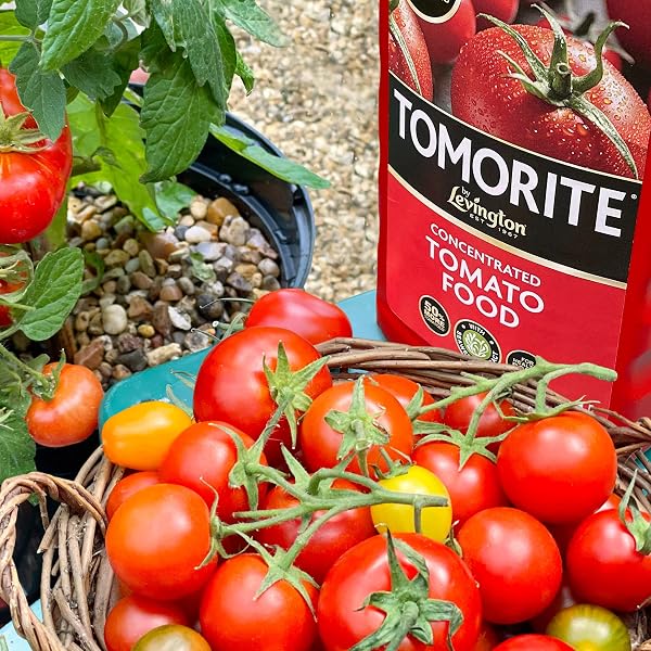 Levington Tomorite Liquid Tomato Food, Concentrate, 1L, Red - 3