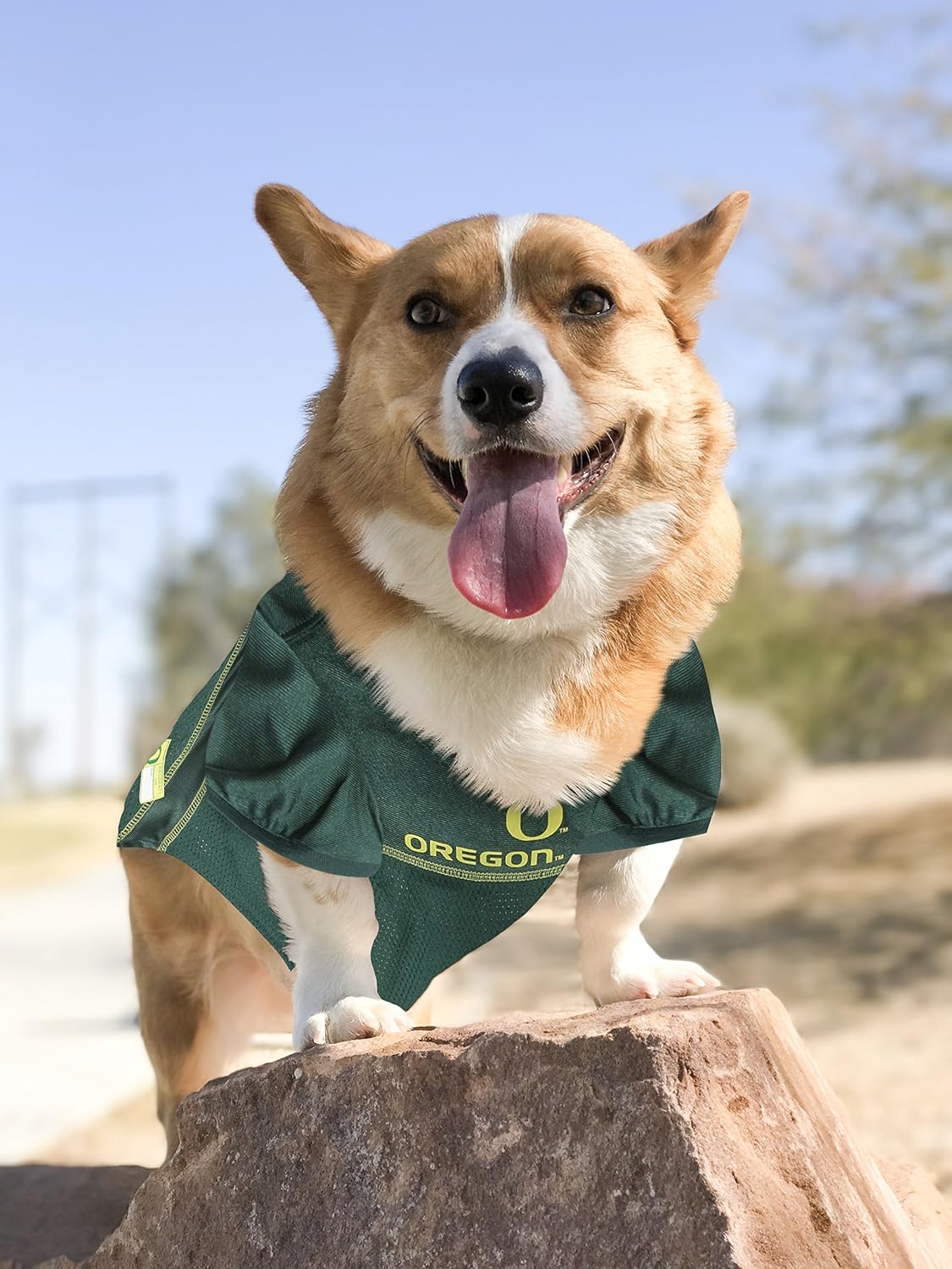 Pets First NCAA College Oregon Ducks Mesh Jersey for DOGS & CATS, X-Small.Licensed Dog Jersey with your Favorite Football/Basketball College Team