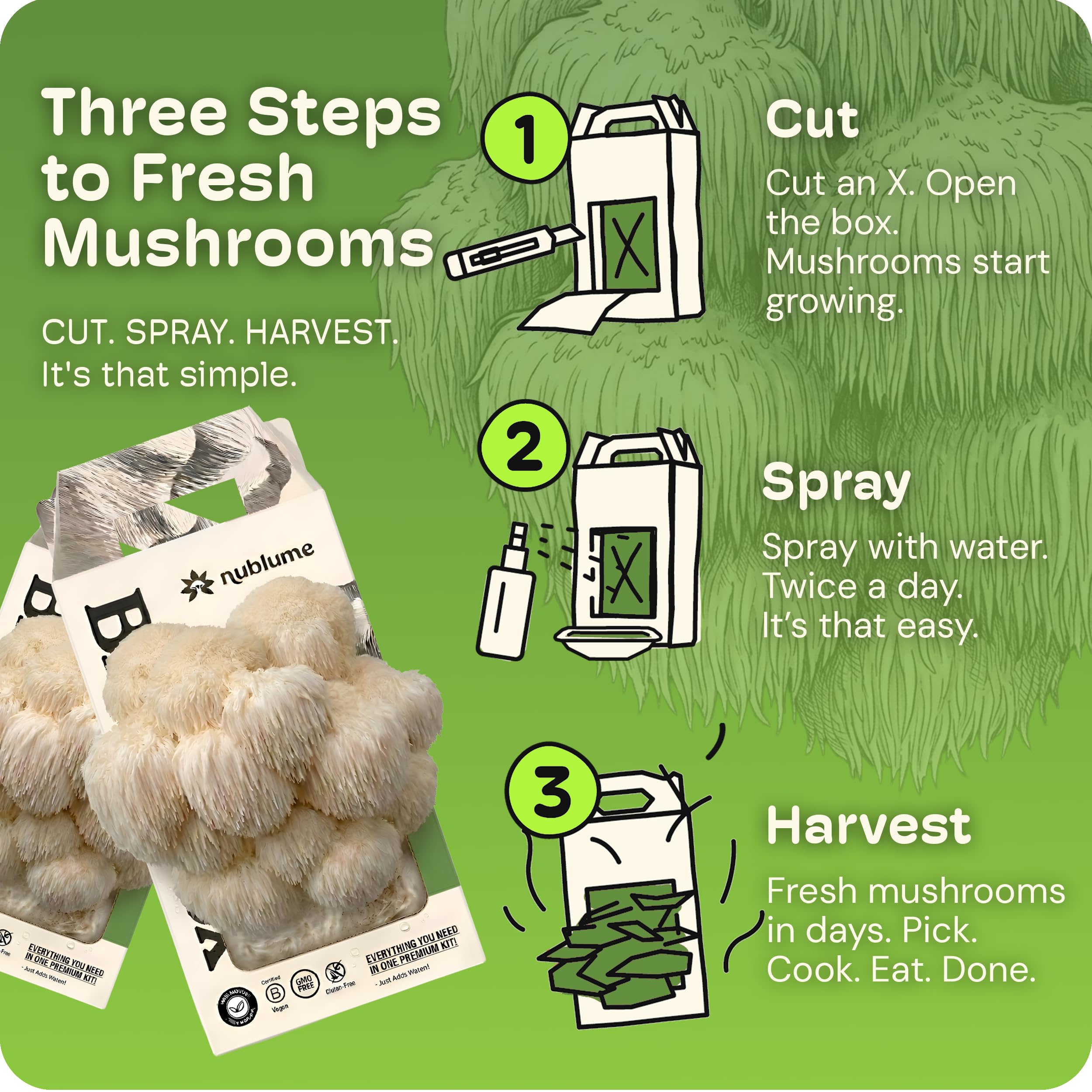 NuBlume Kit De Culture Champignons Crinière De Lion Bio - Cultivez Vos Propres Champignons Frais Gastronomiques à La Maison Facilement