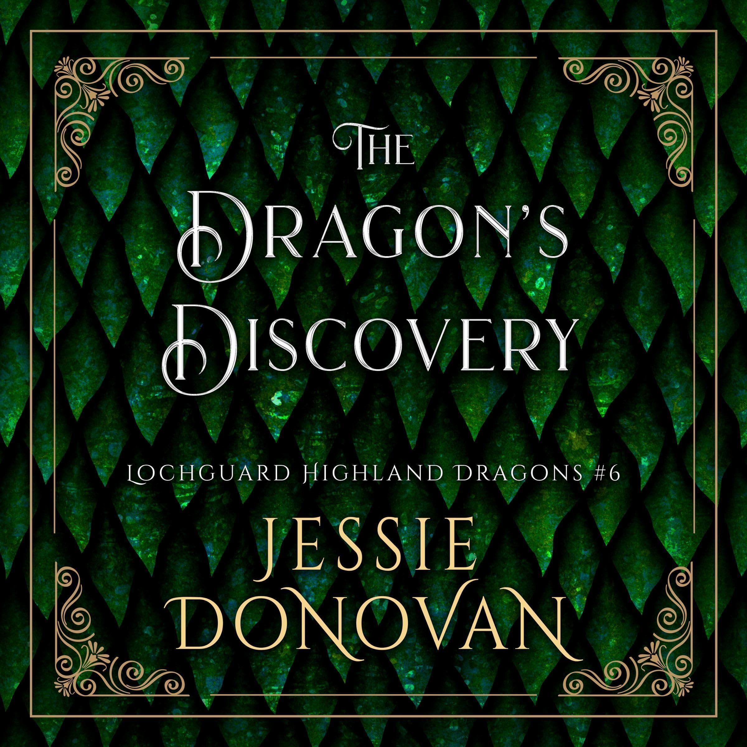 Cover art for The Dragon's Discovery