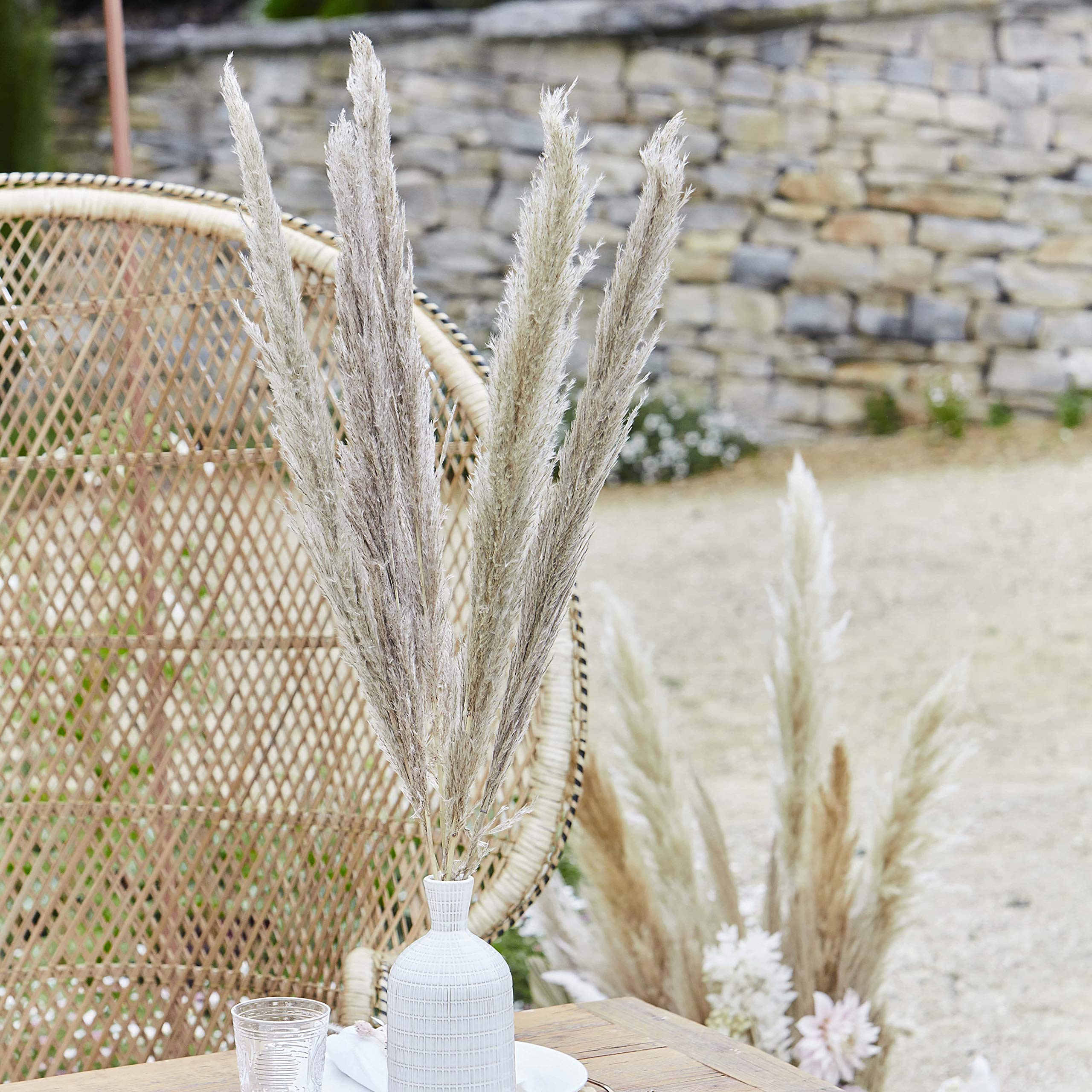 Natural Dried Pampas Grass