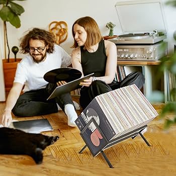 Amazon.com: 2BHOME Vinyl Record Storage Holder, Holds up to