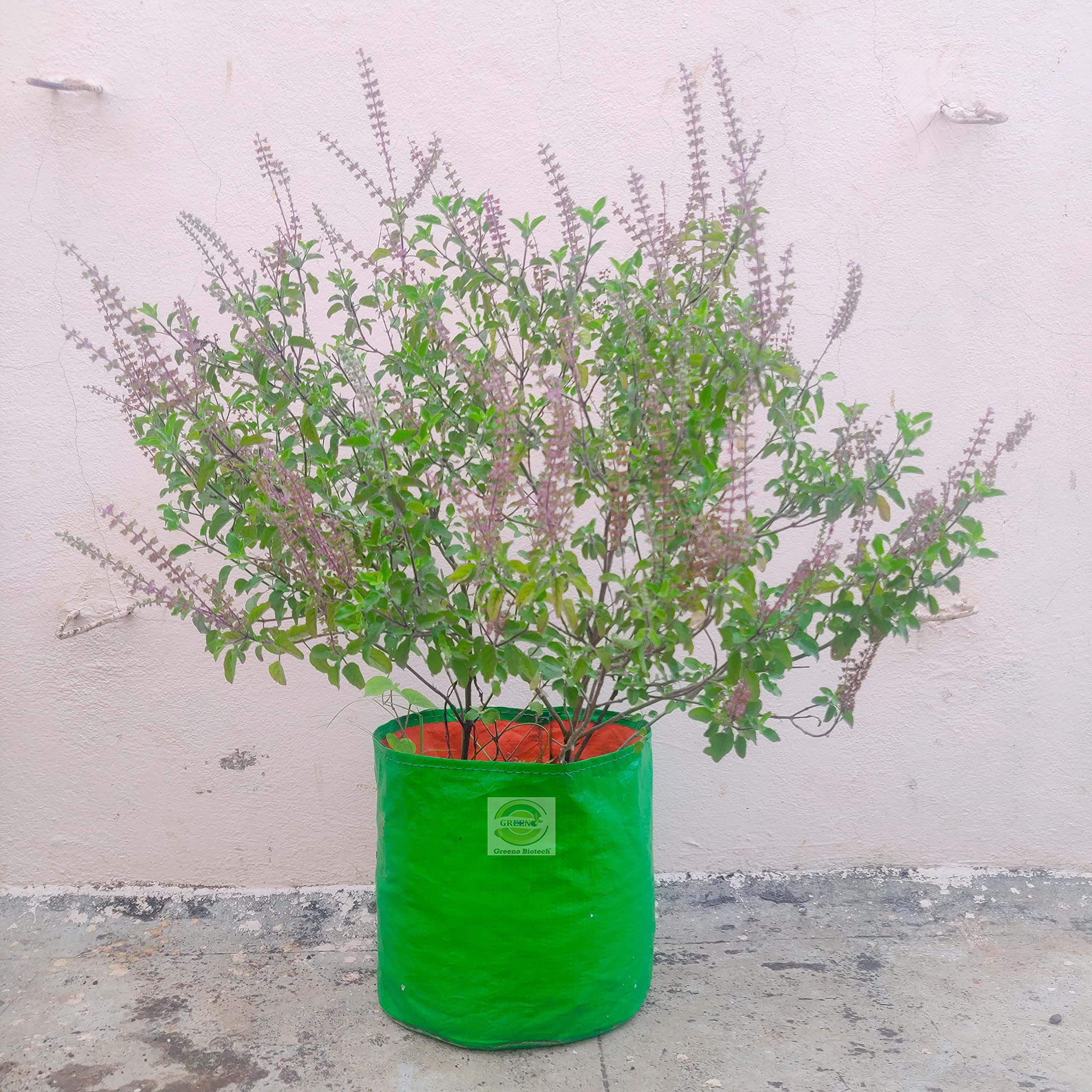 HDPE Grow Bags - 10 Pack for Terrace Gardening -4