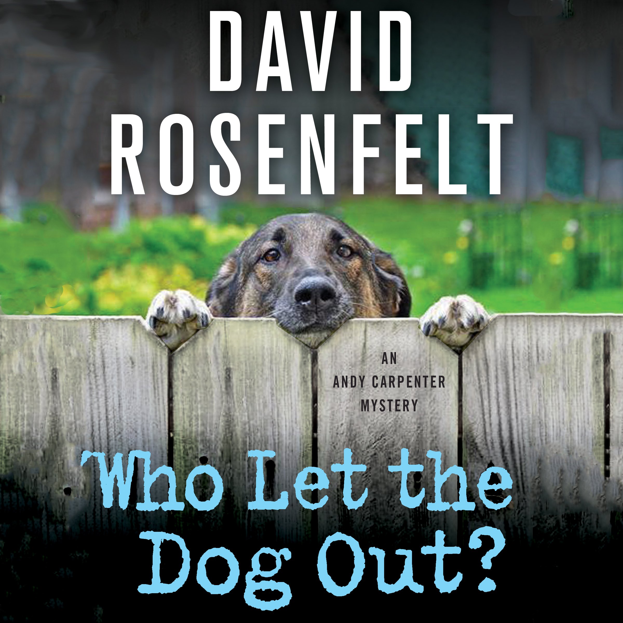 Cover art for Who Let the Dog Out?