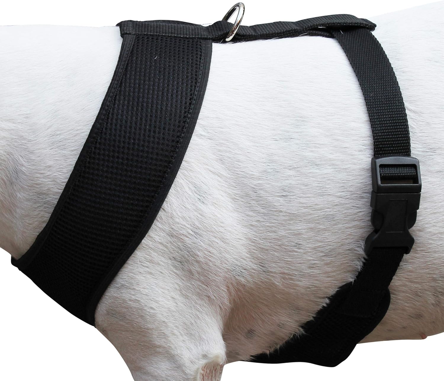 Dogs My Love Soft Mesh Walking Harness for Dogs and Puppies 6 Sizes Black (L (Neck Max: 15"; Chest Girth: 18"-23")) - Image 4